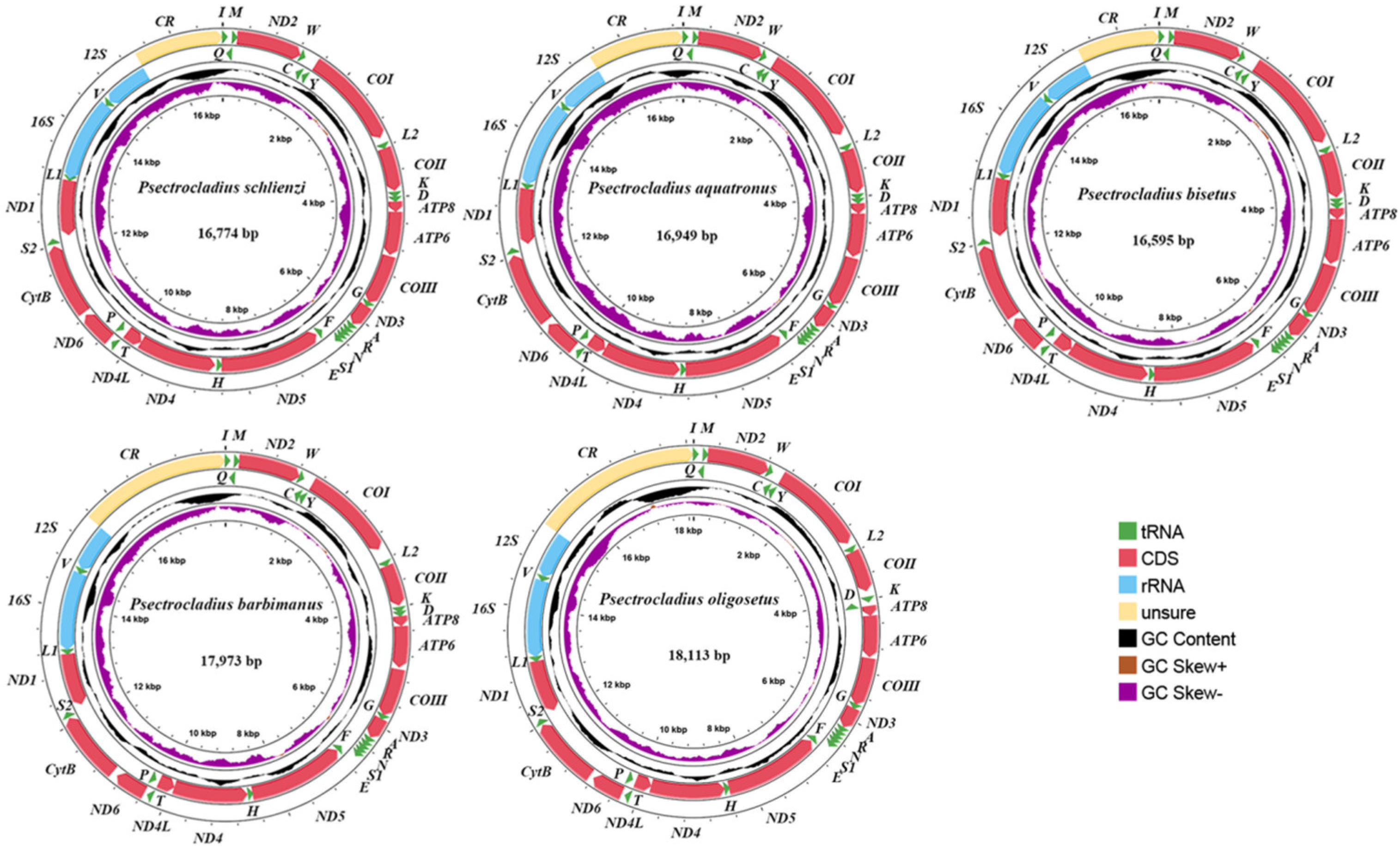 Insects 16 00420 g002