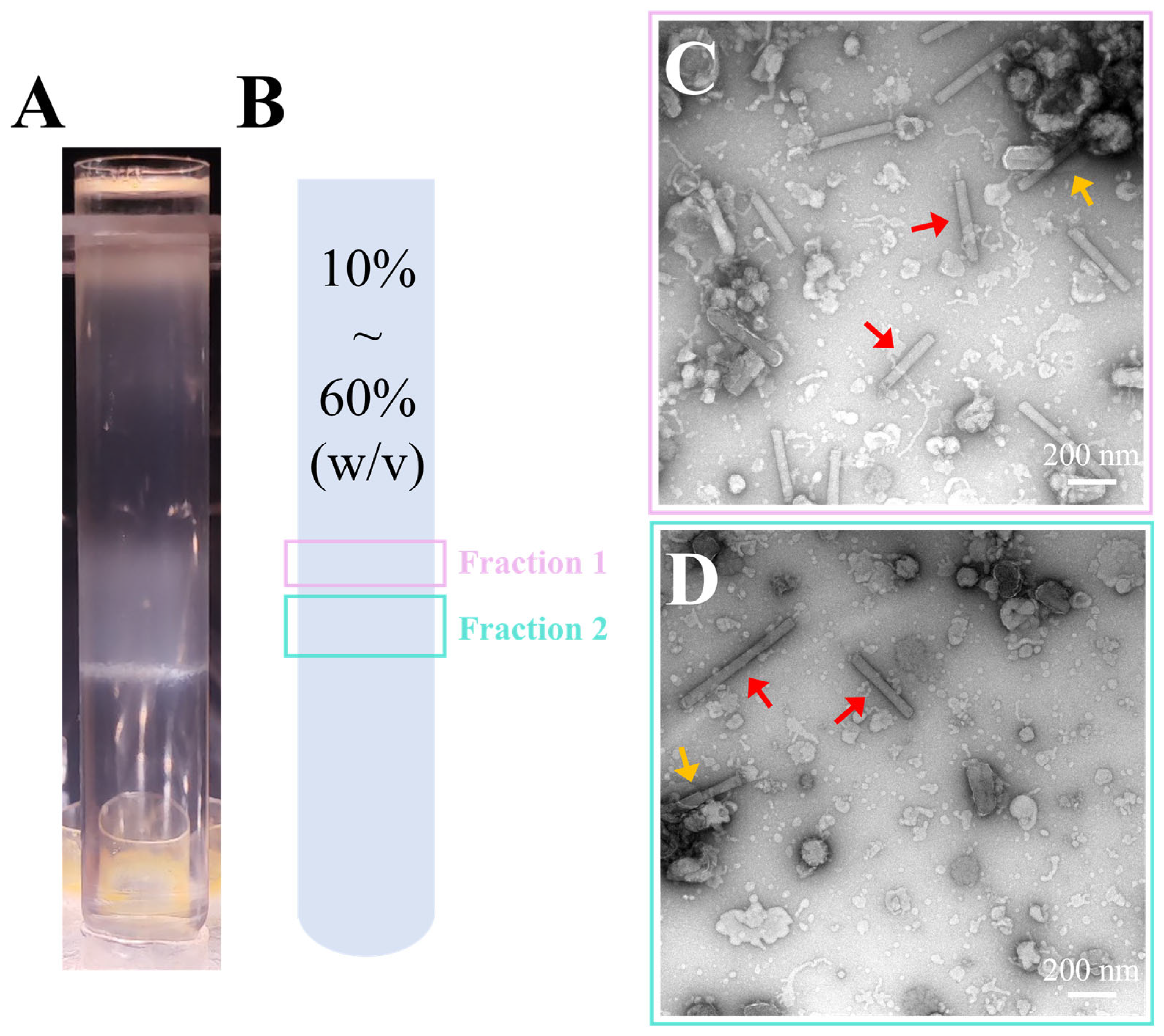 Insects 16 00424 g003