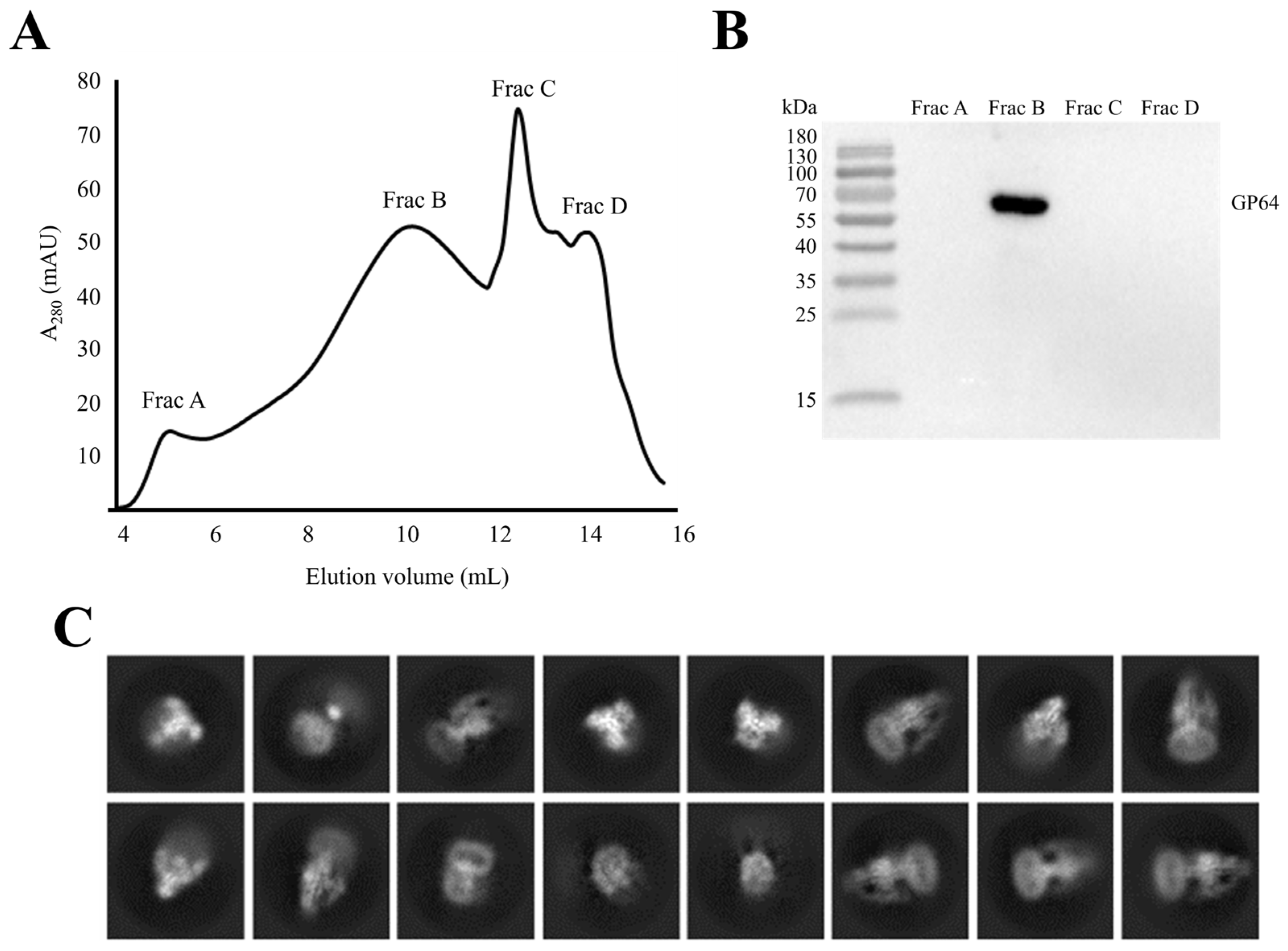 Insects 16 00424 g006
