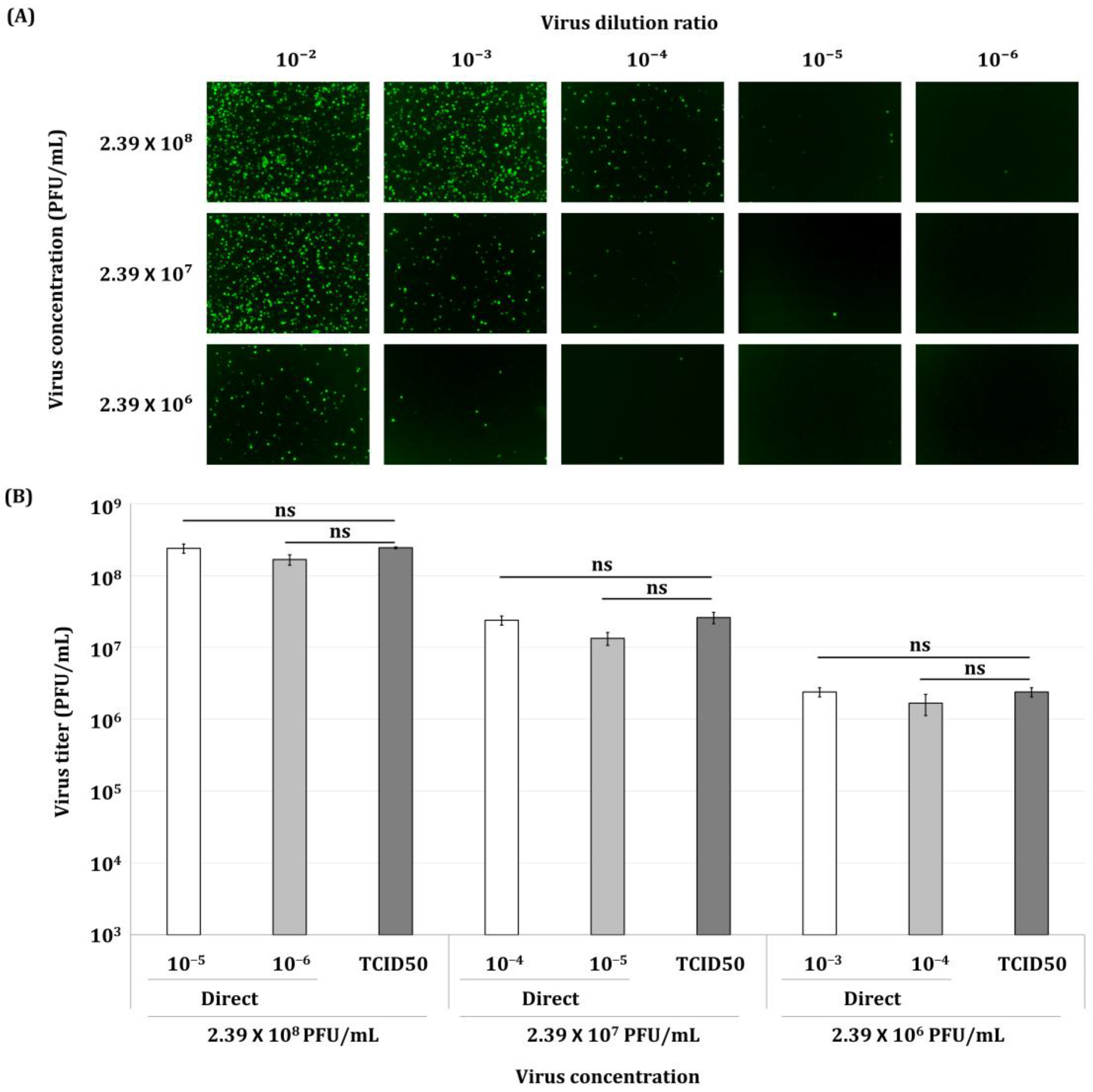 Insects 16 00426 g006