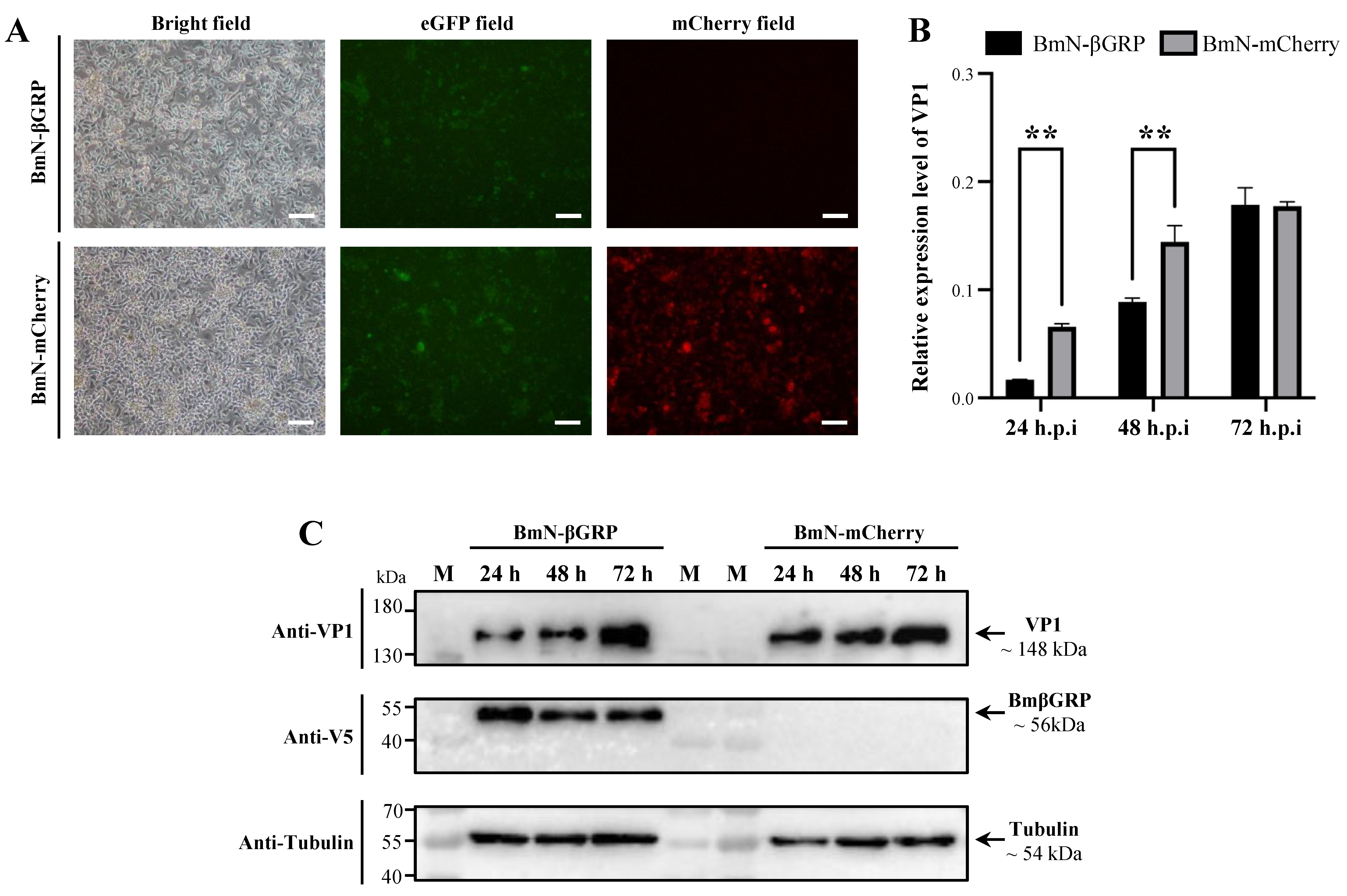 Insects 16 00431 g003