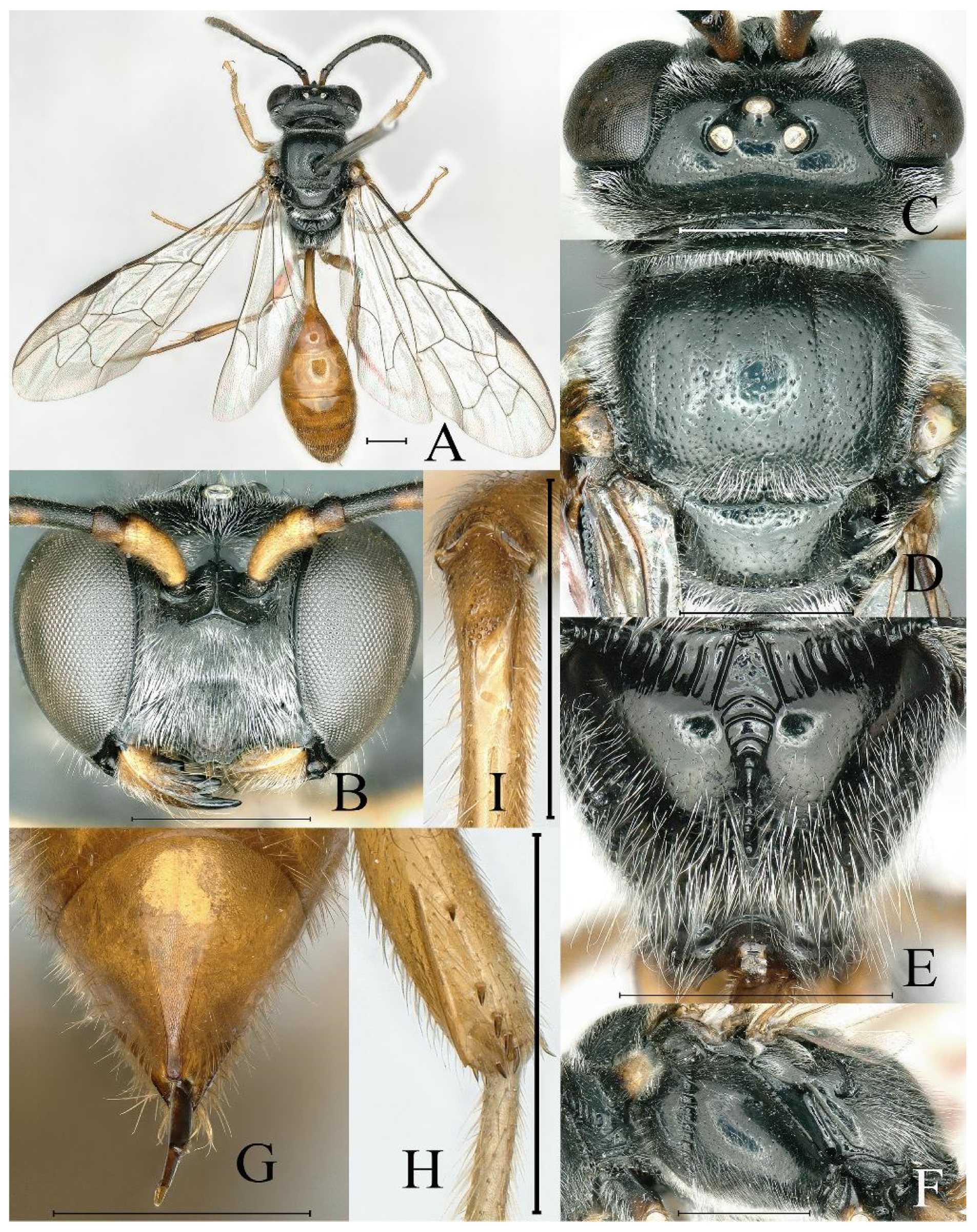 Insects 16 00432 g001