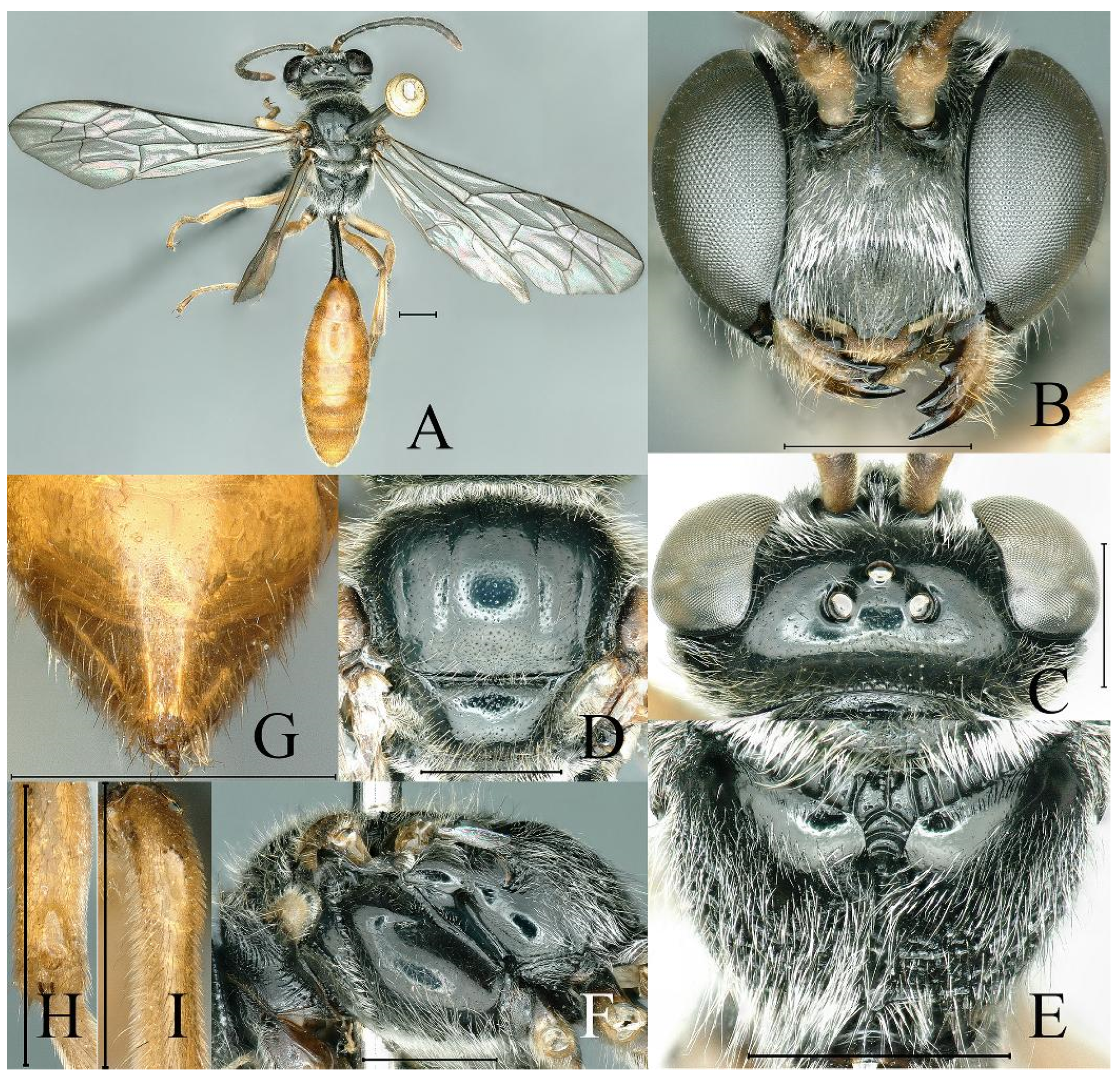 Insects 16 00432 g003