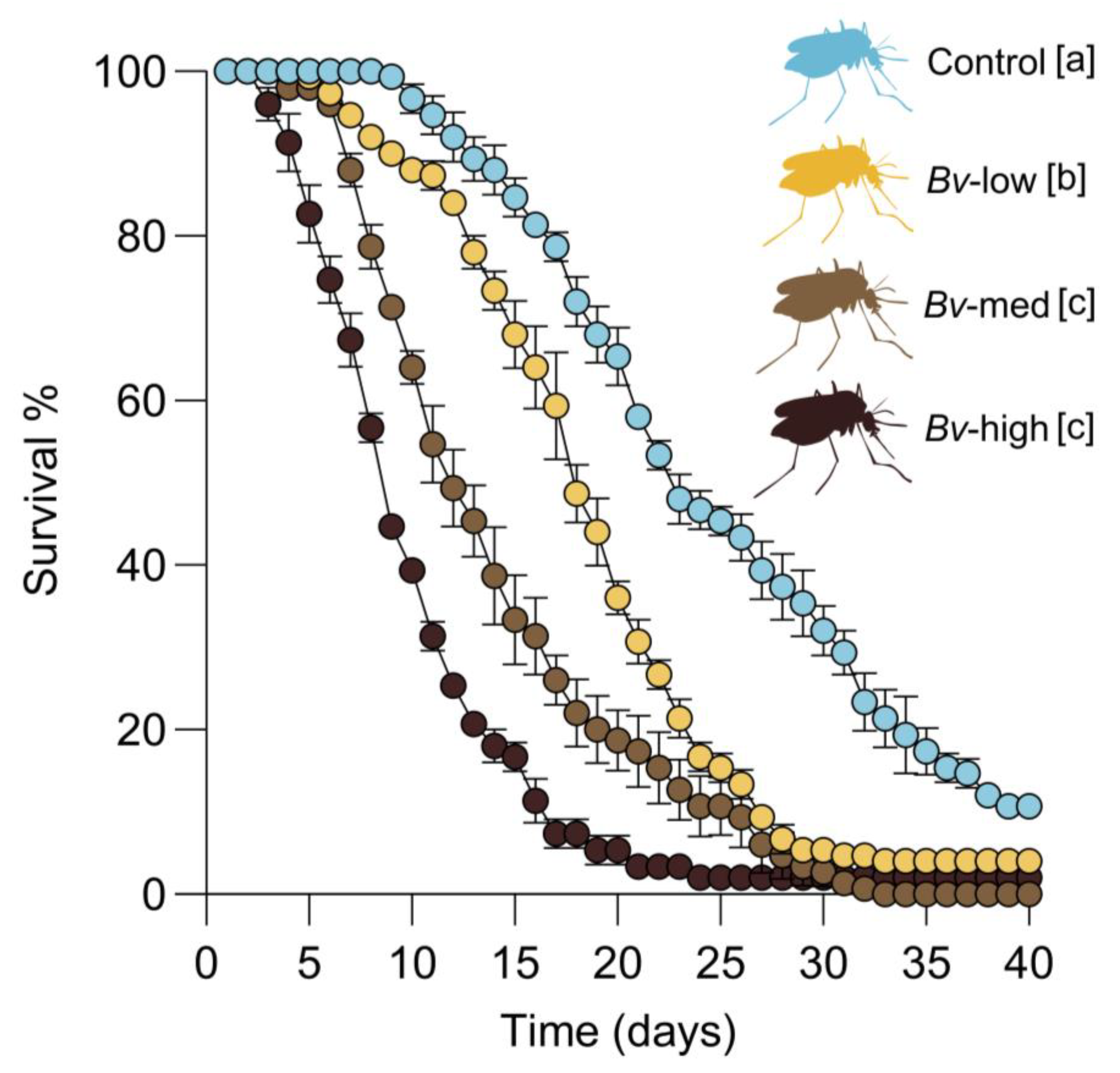 Insects 16 00434 g004