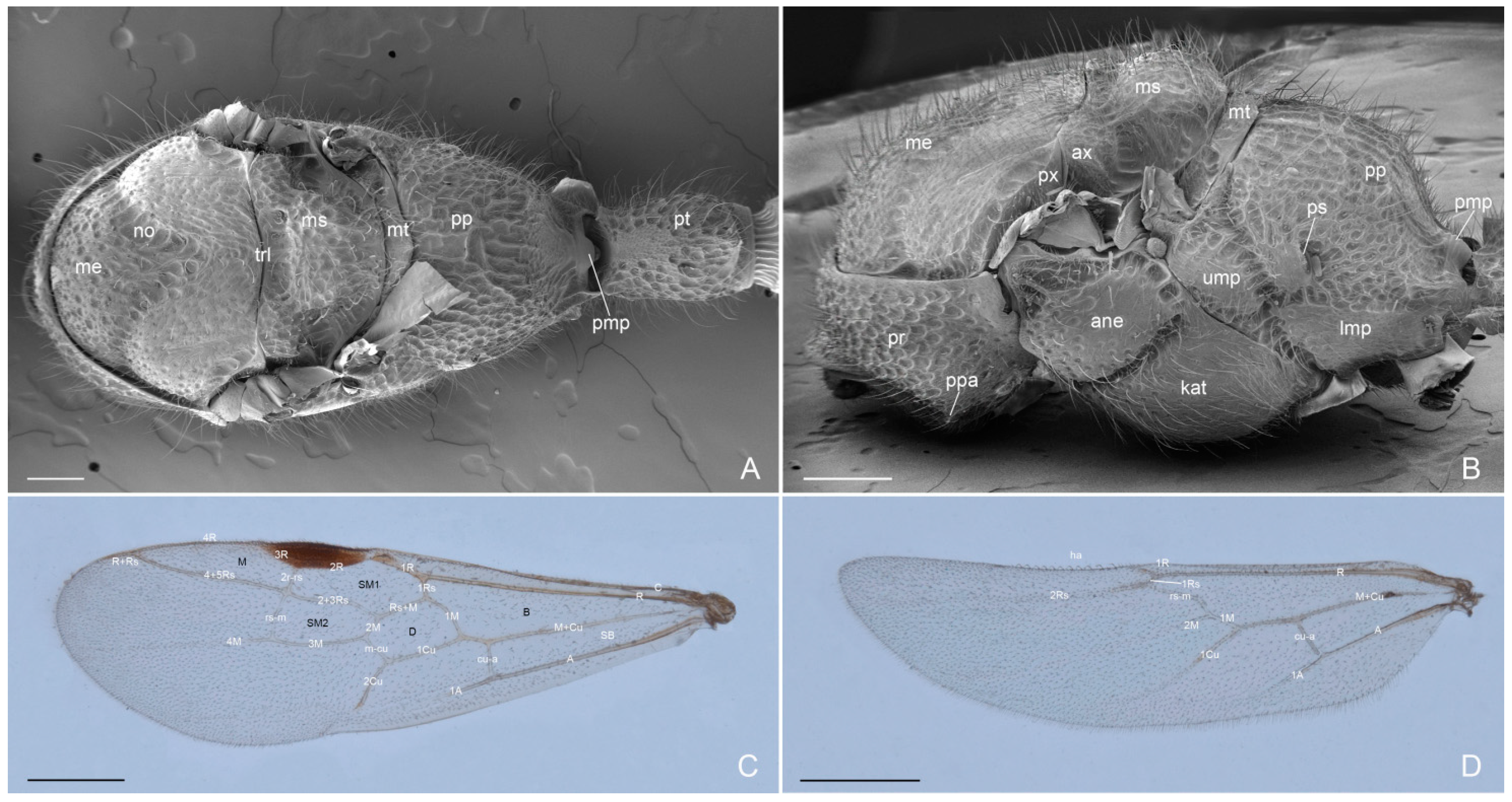 Insects 16 00436 g003