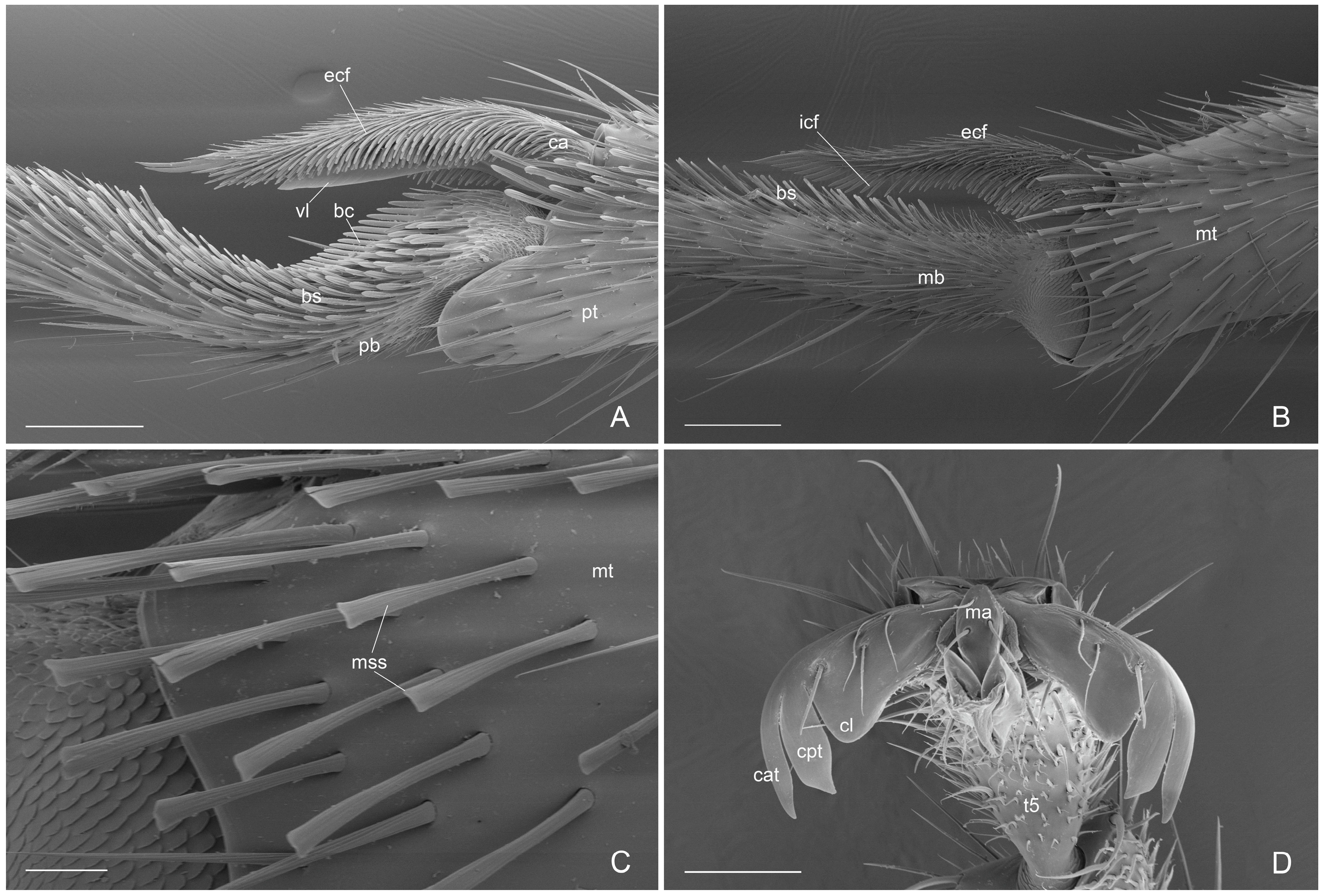 Insects 16 00436 g004