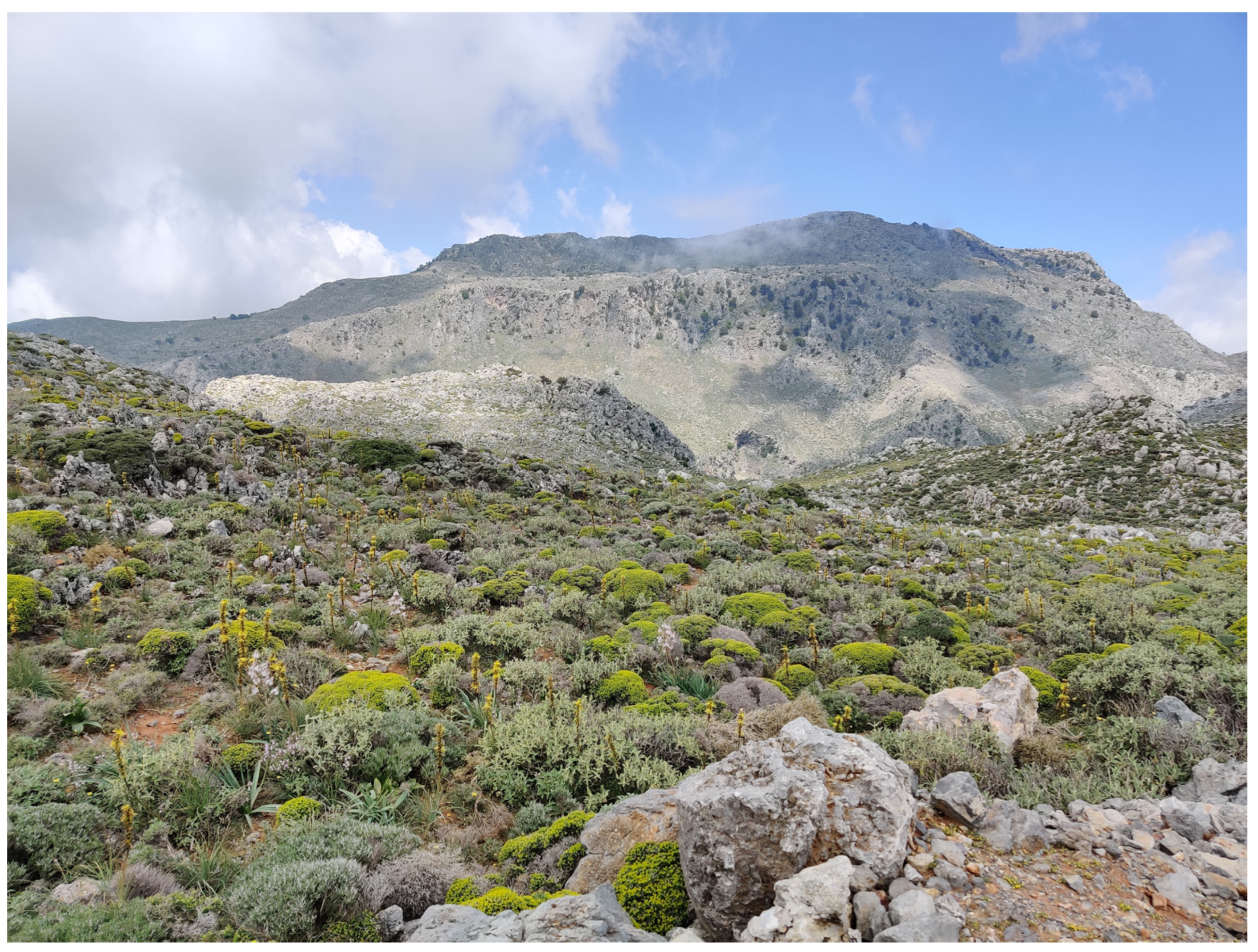 Insects 16 00438 g001 Insects 16 00438 g001