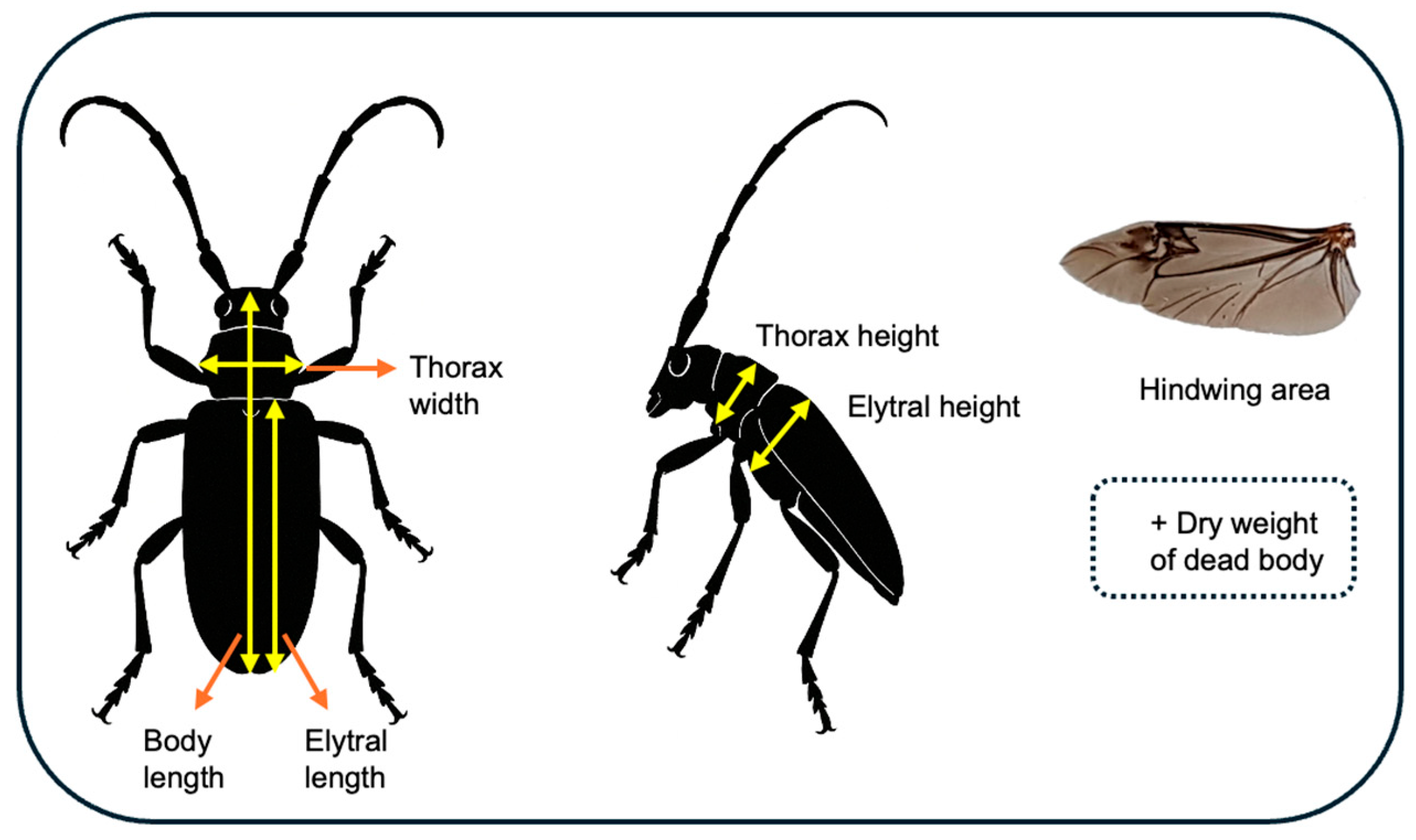 Insects 16 00444 g0a1