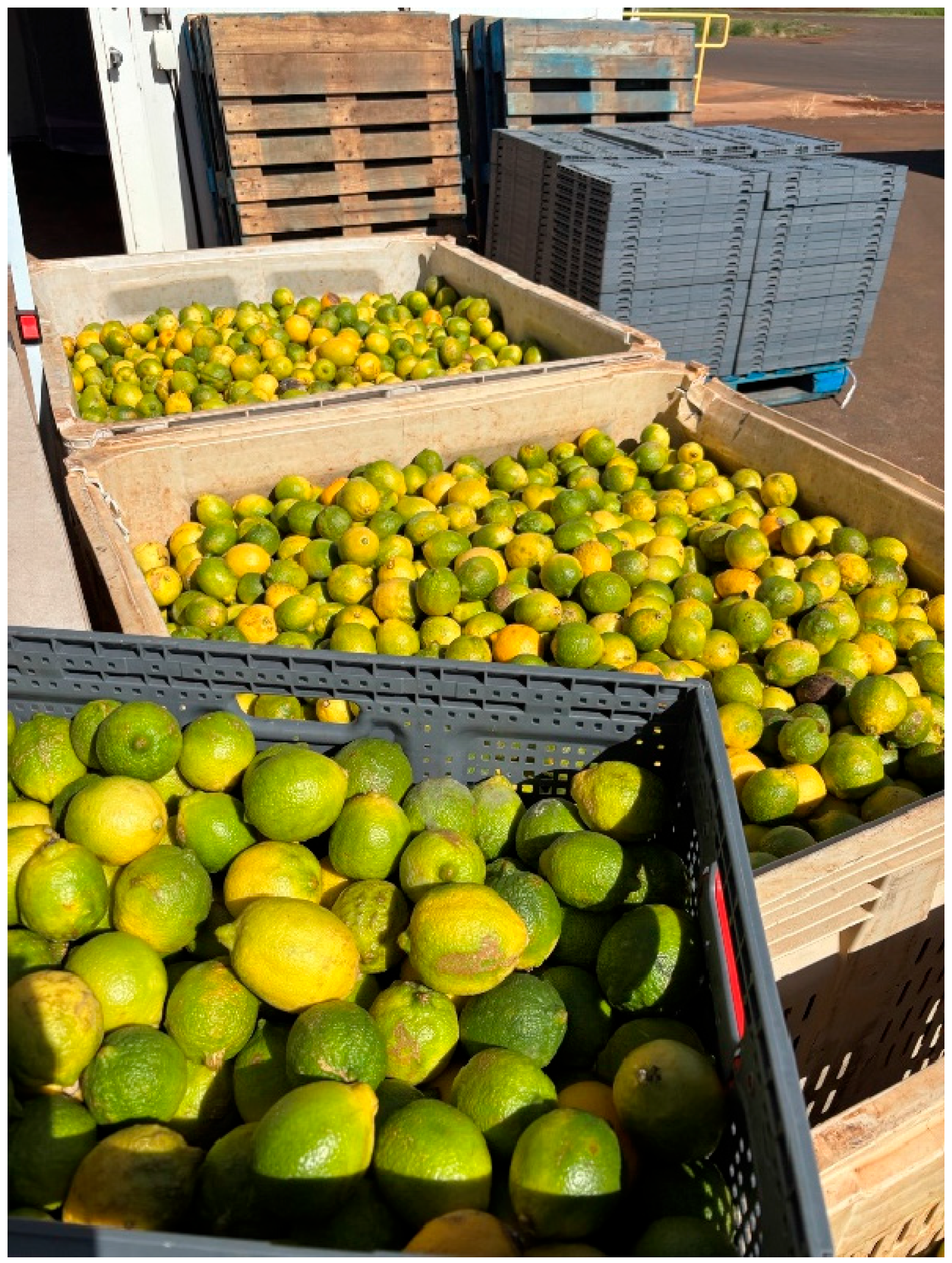 Insects 16 00447 g003