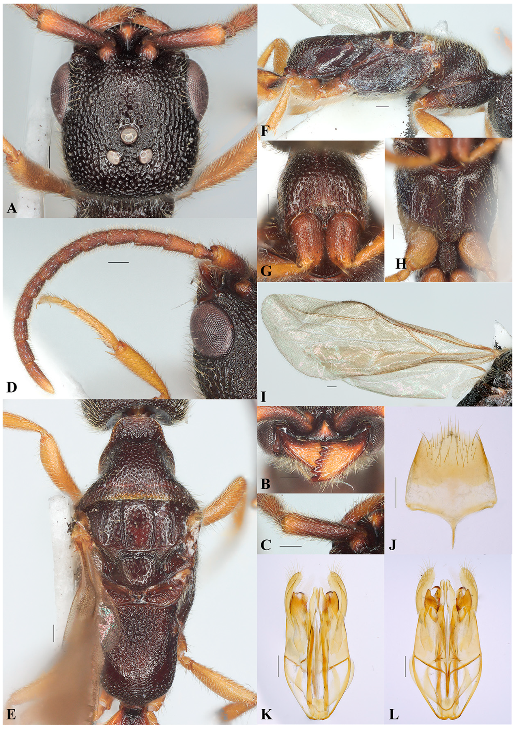 Insects 16 00451 g002 Insects 16 00451 g002