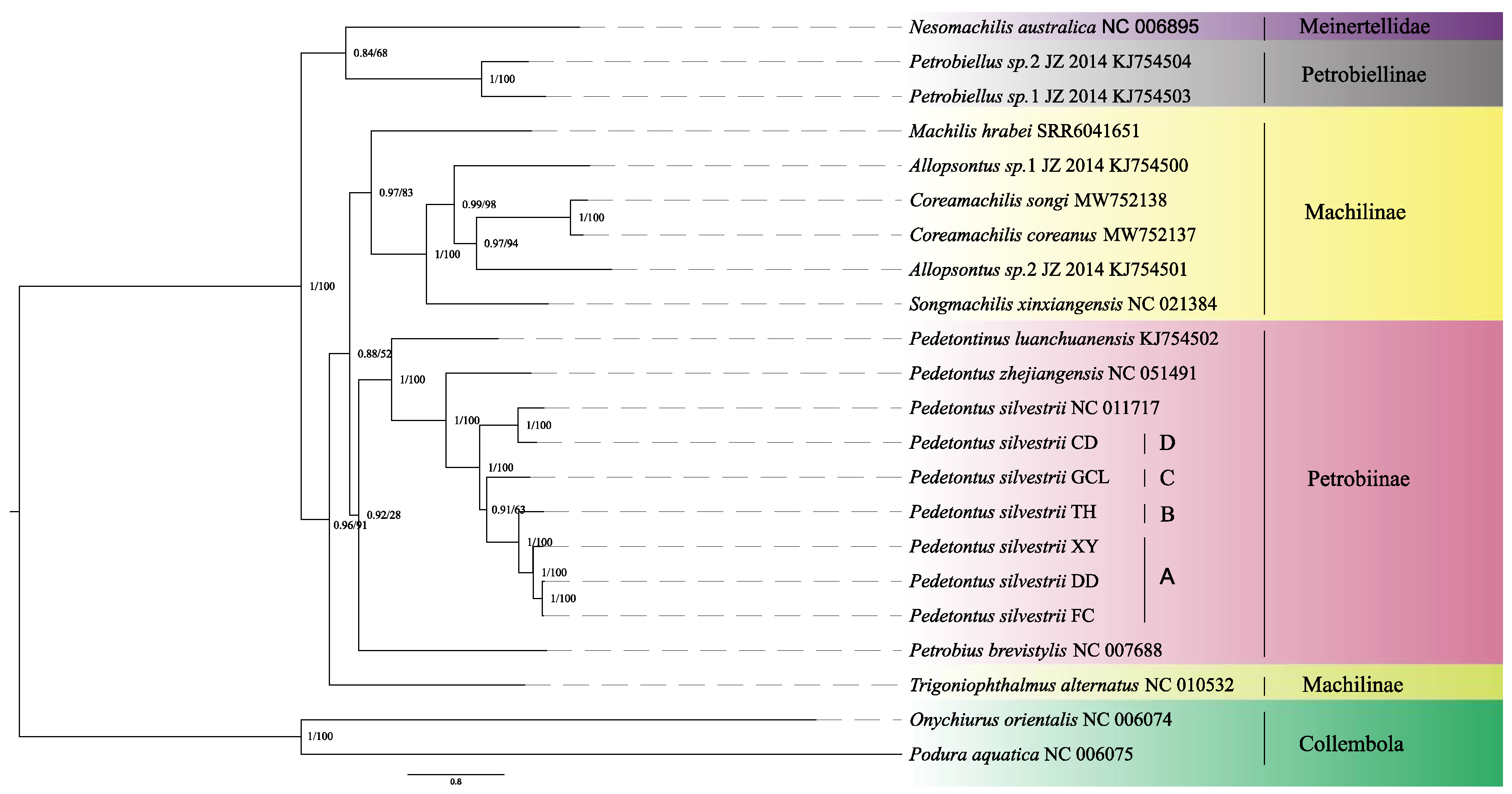 Insects 16 00452 g001