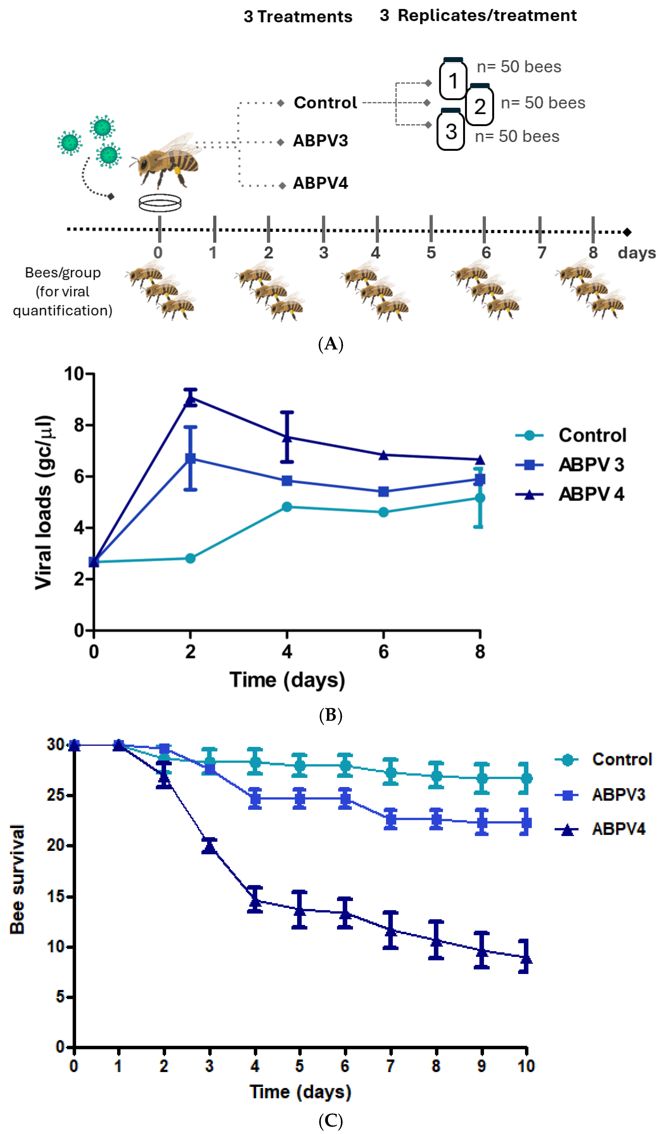 Insects 16 00453 g001