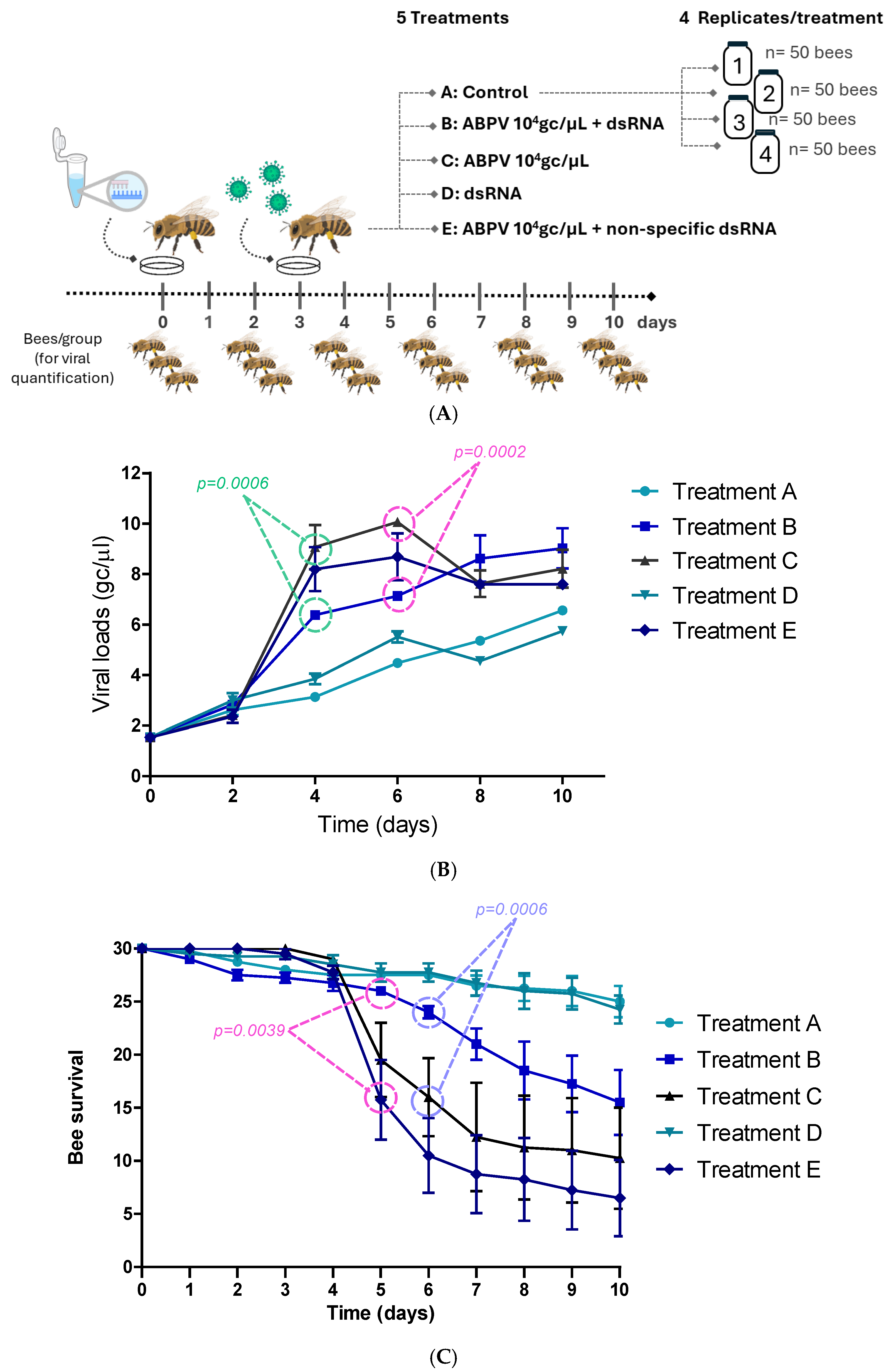 Insects 16 00453 g002