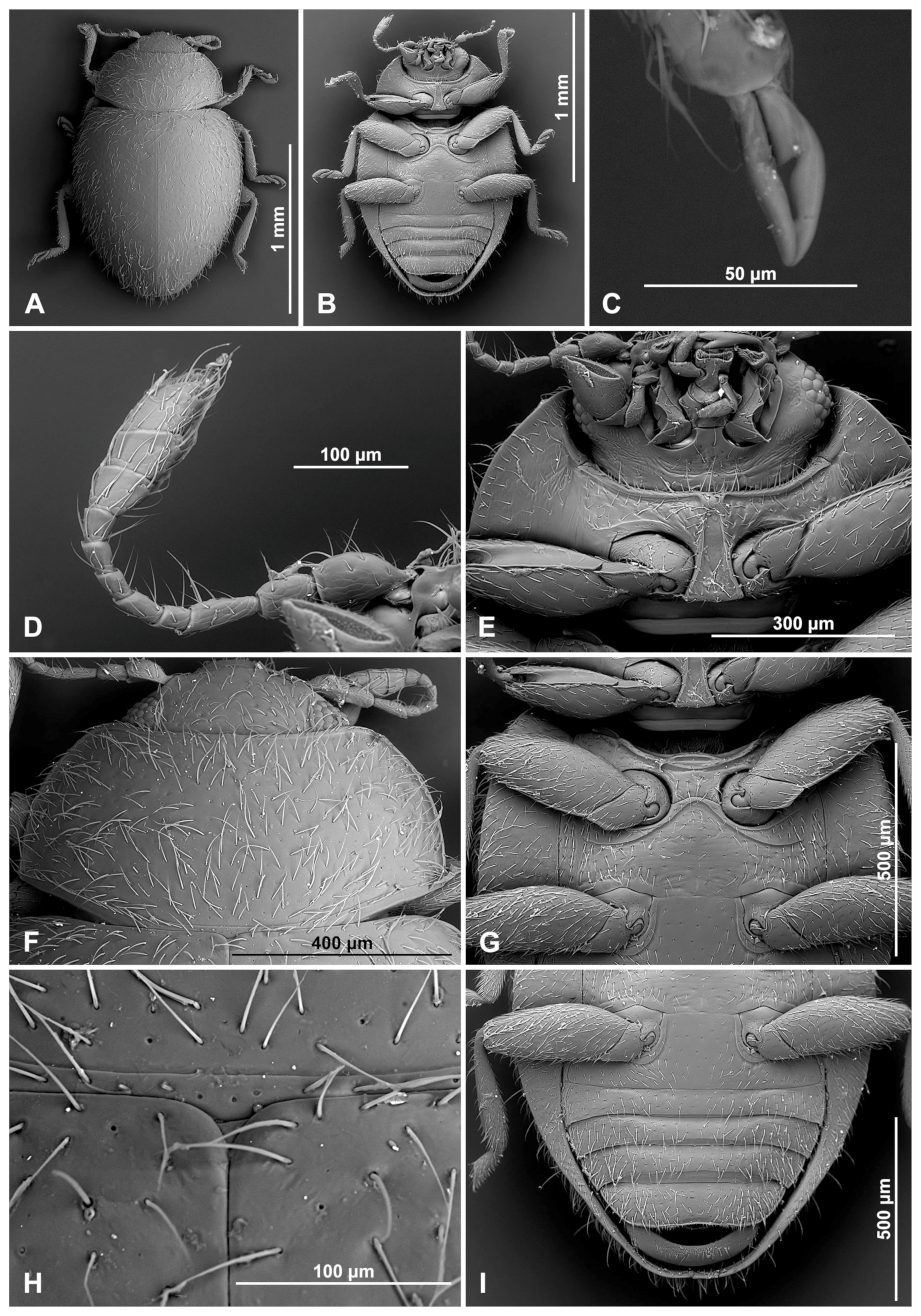 Insects 16 00456 g003
