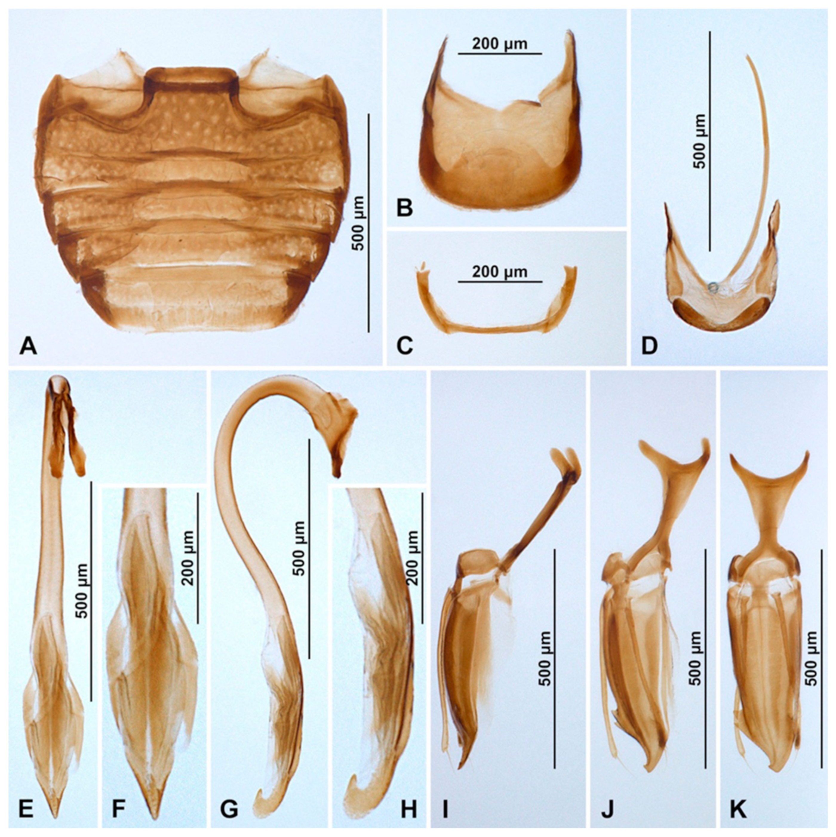 Insects 16 00456 g004
