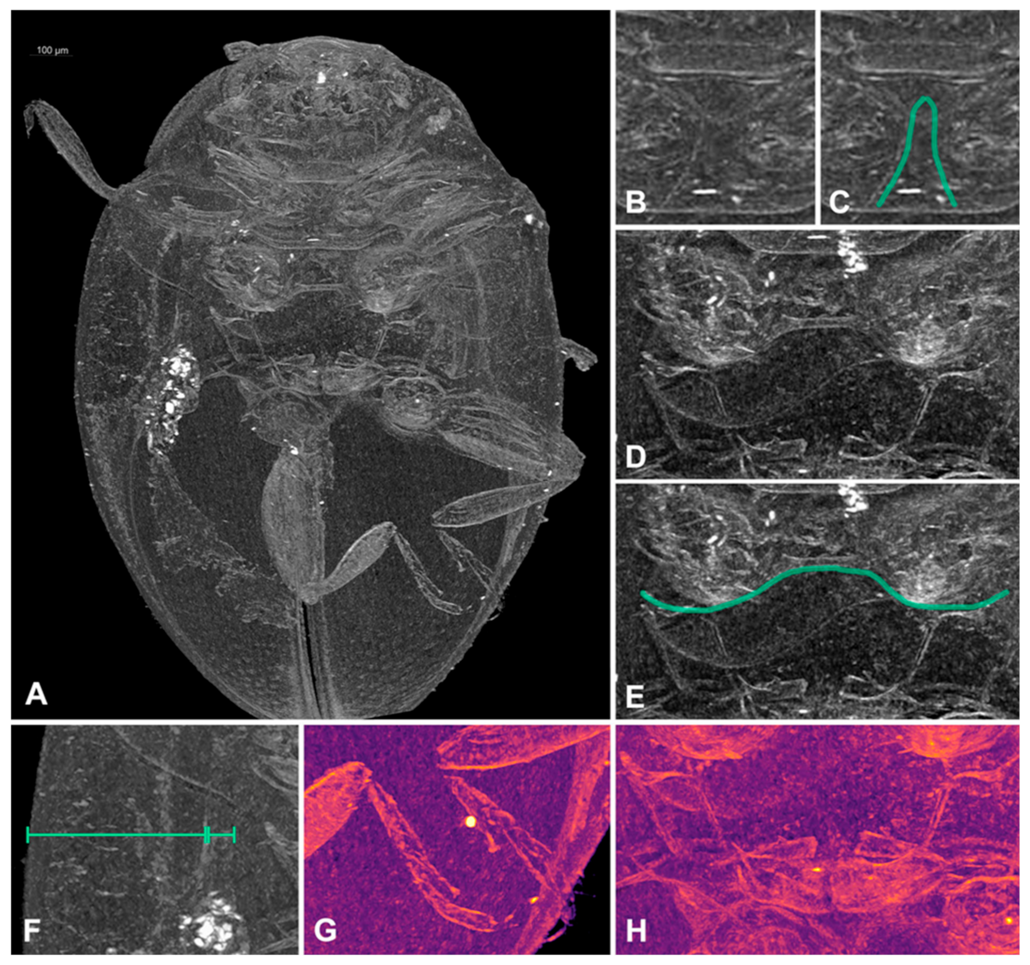 Insects 16 00456 g005