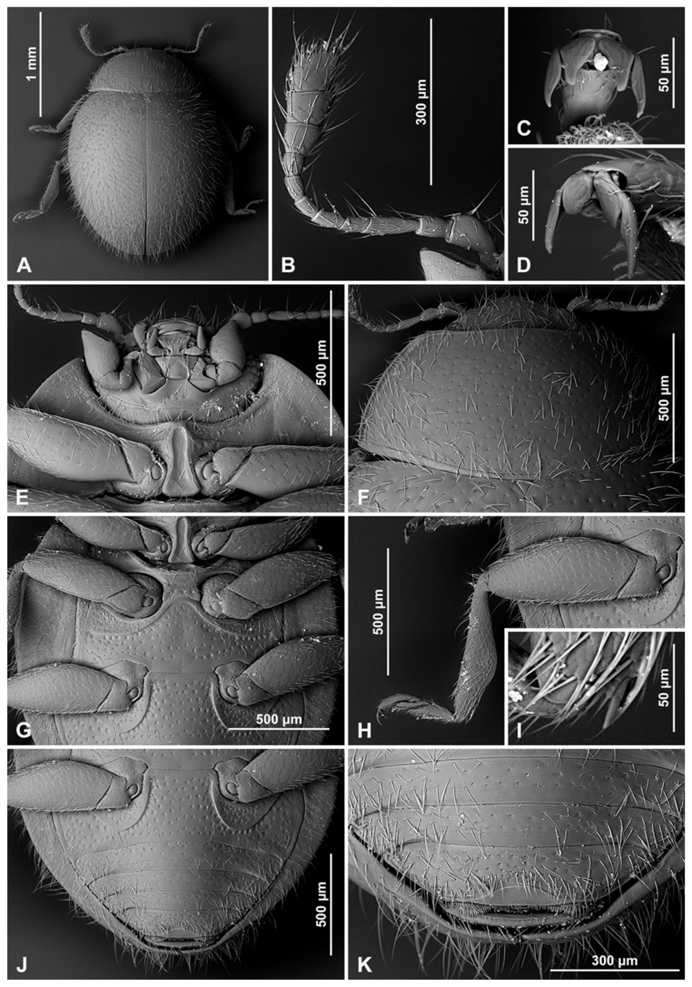 Insects 16 00456 g006