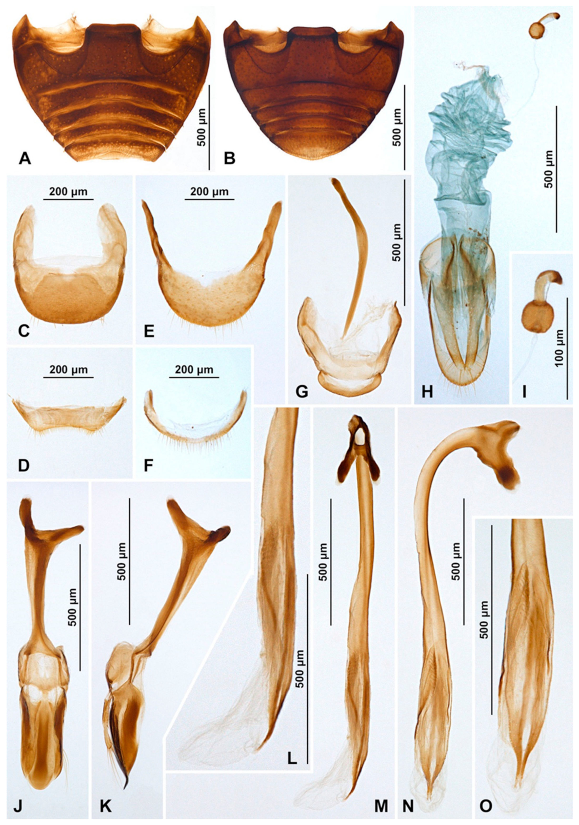 Insects 16 00456 g007