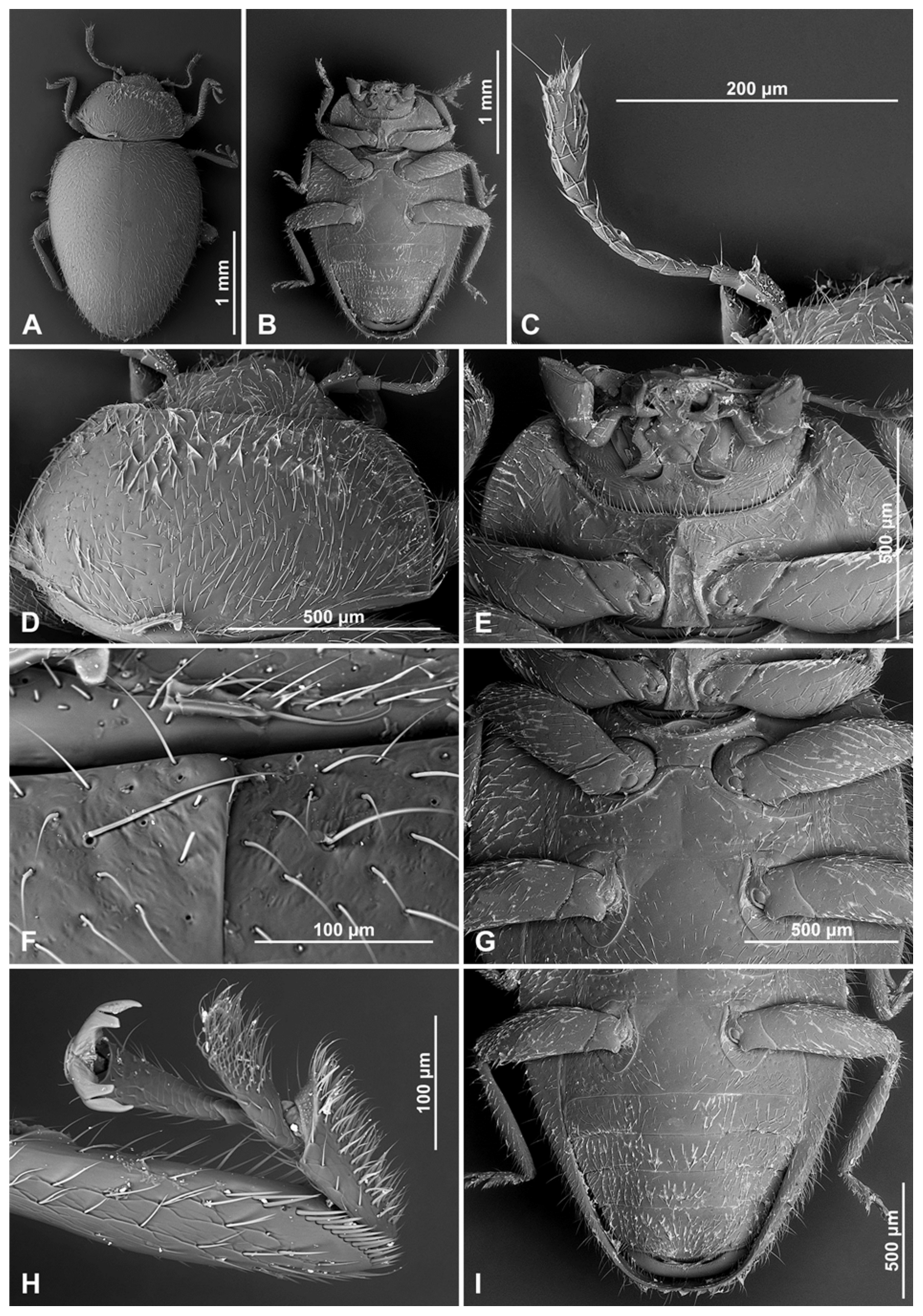 Insects 16 00456 g008