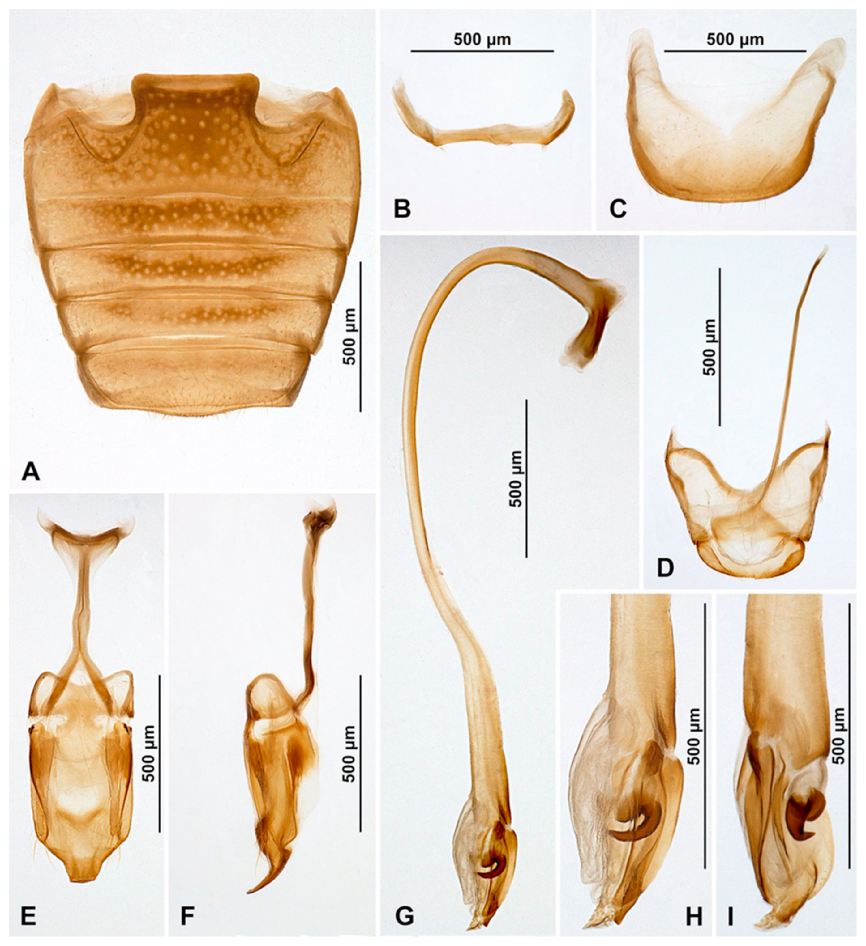 Insects 16 00456 g009