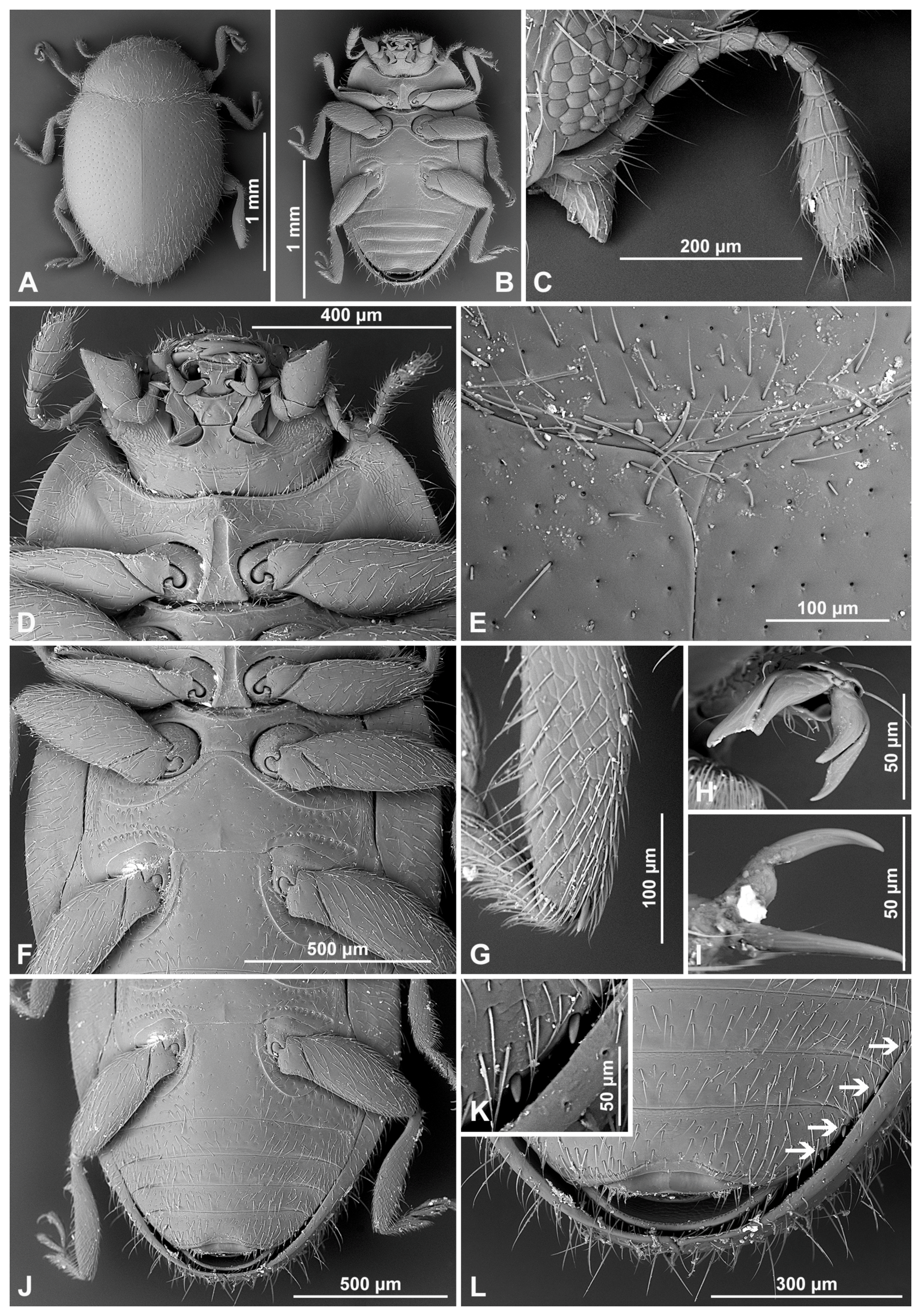 Insects 16 00456 g010