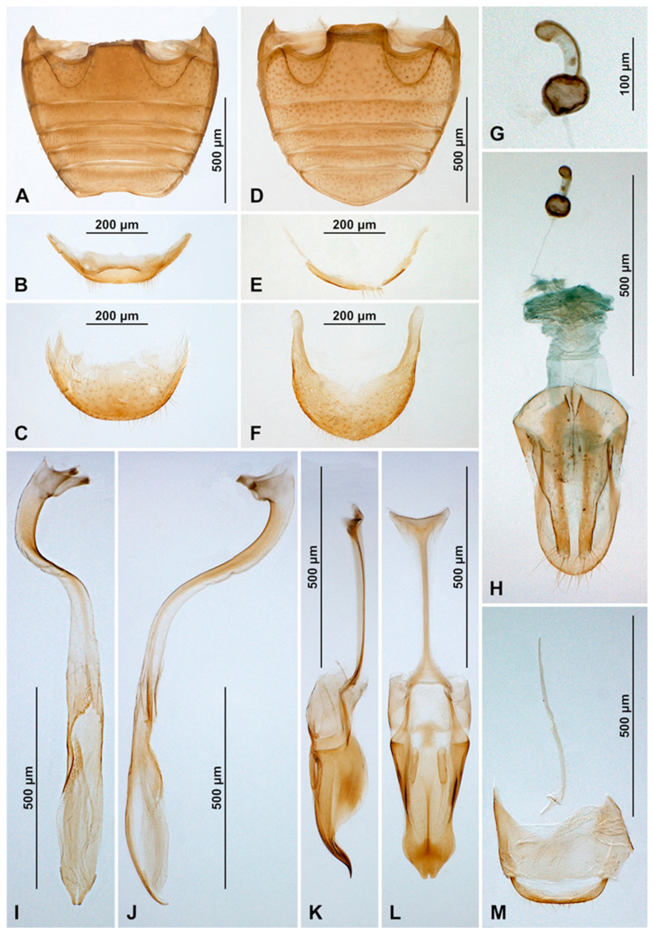 Insects 16 00456 g011