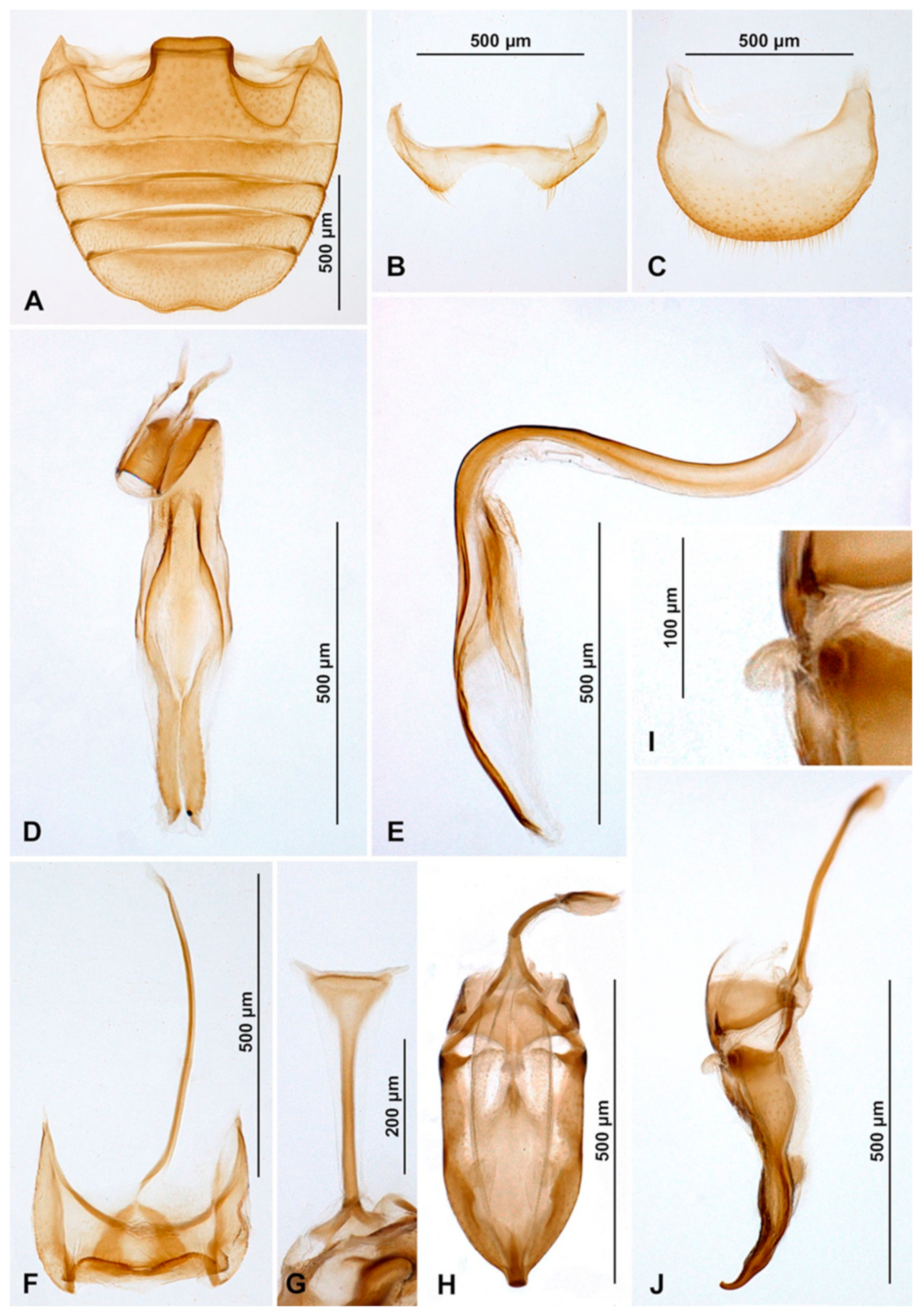 Insects 16 00456 g014