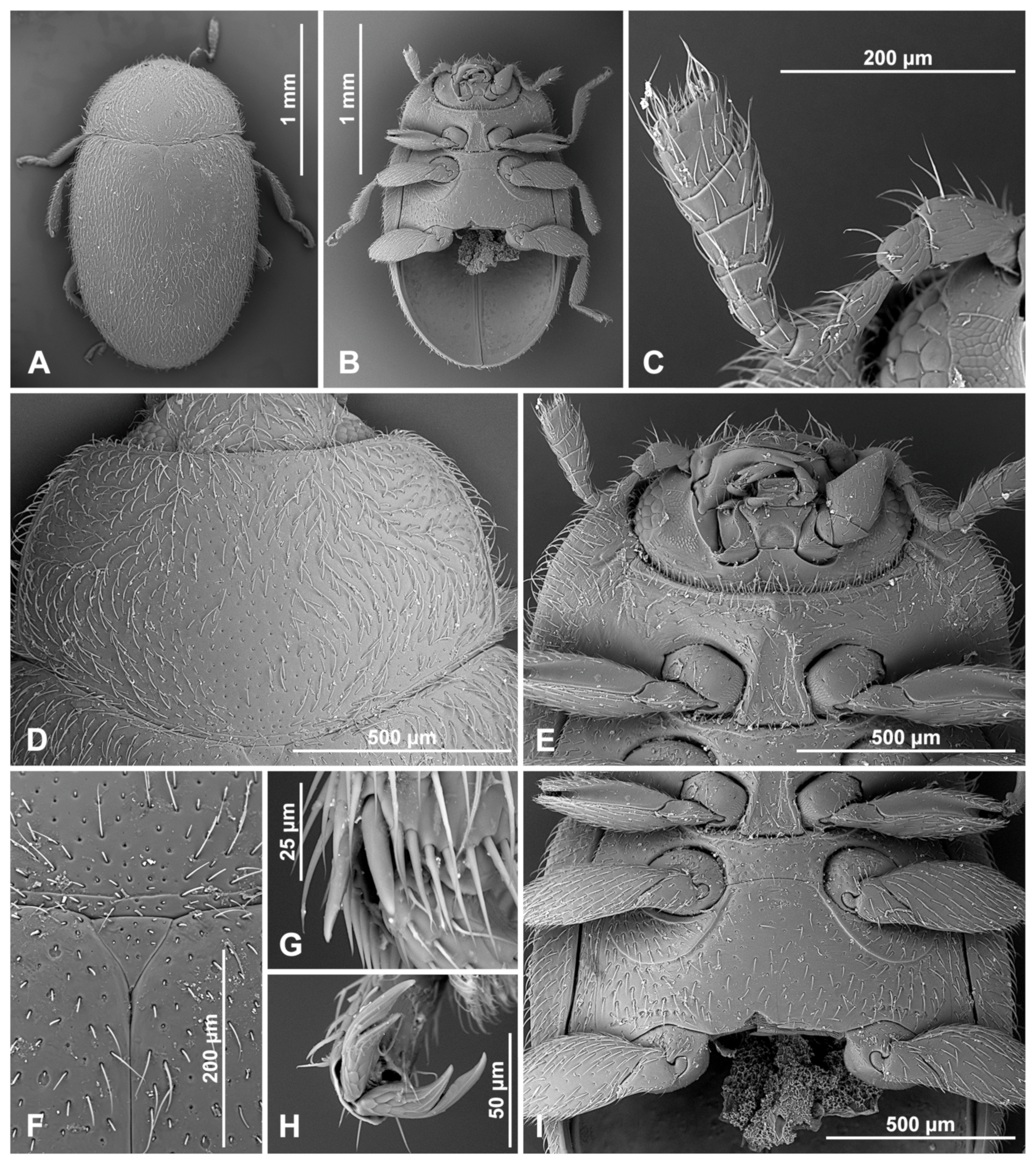 Insects 16 00456 g015