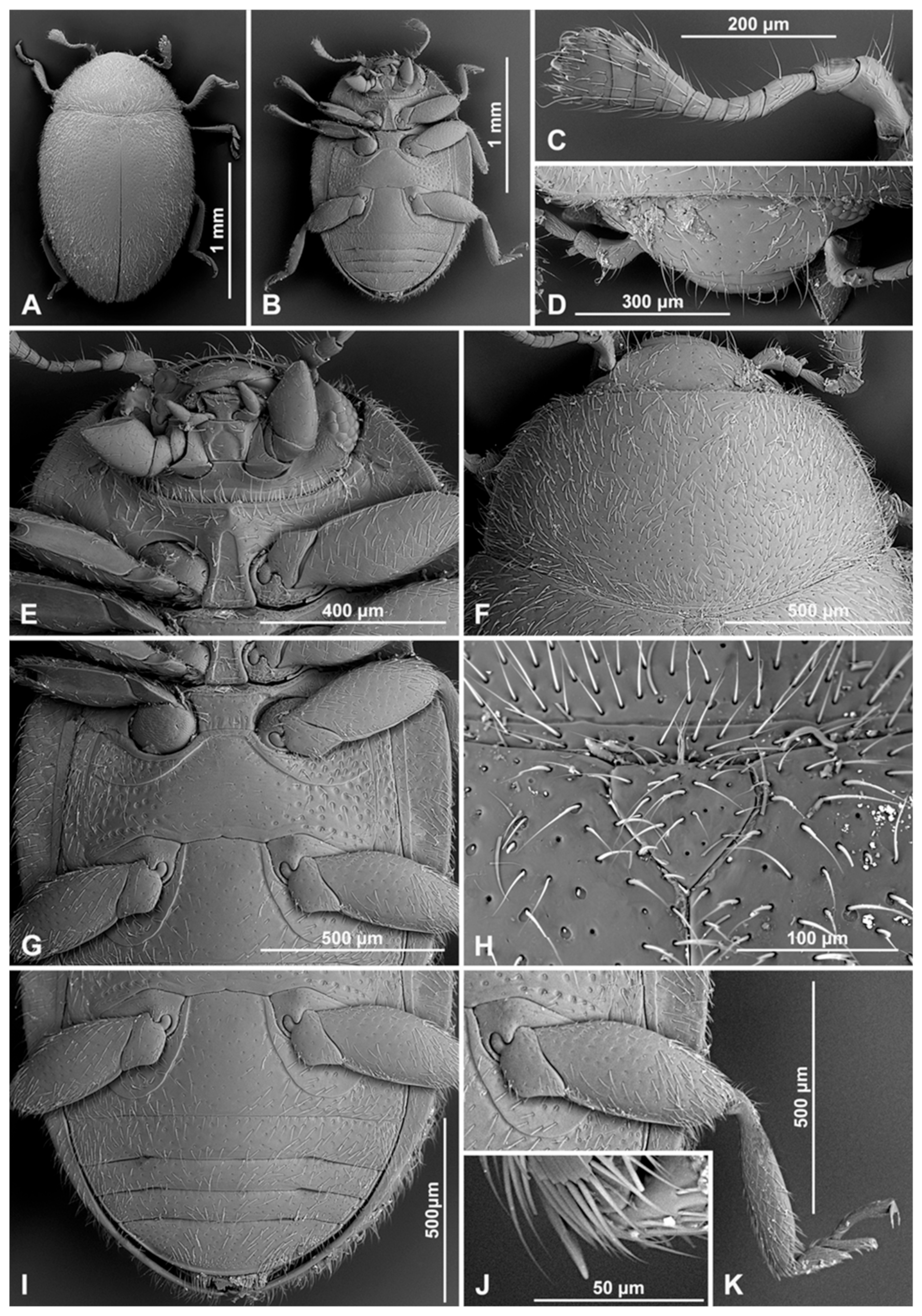 Insects 16 00456 g017