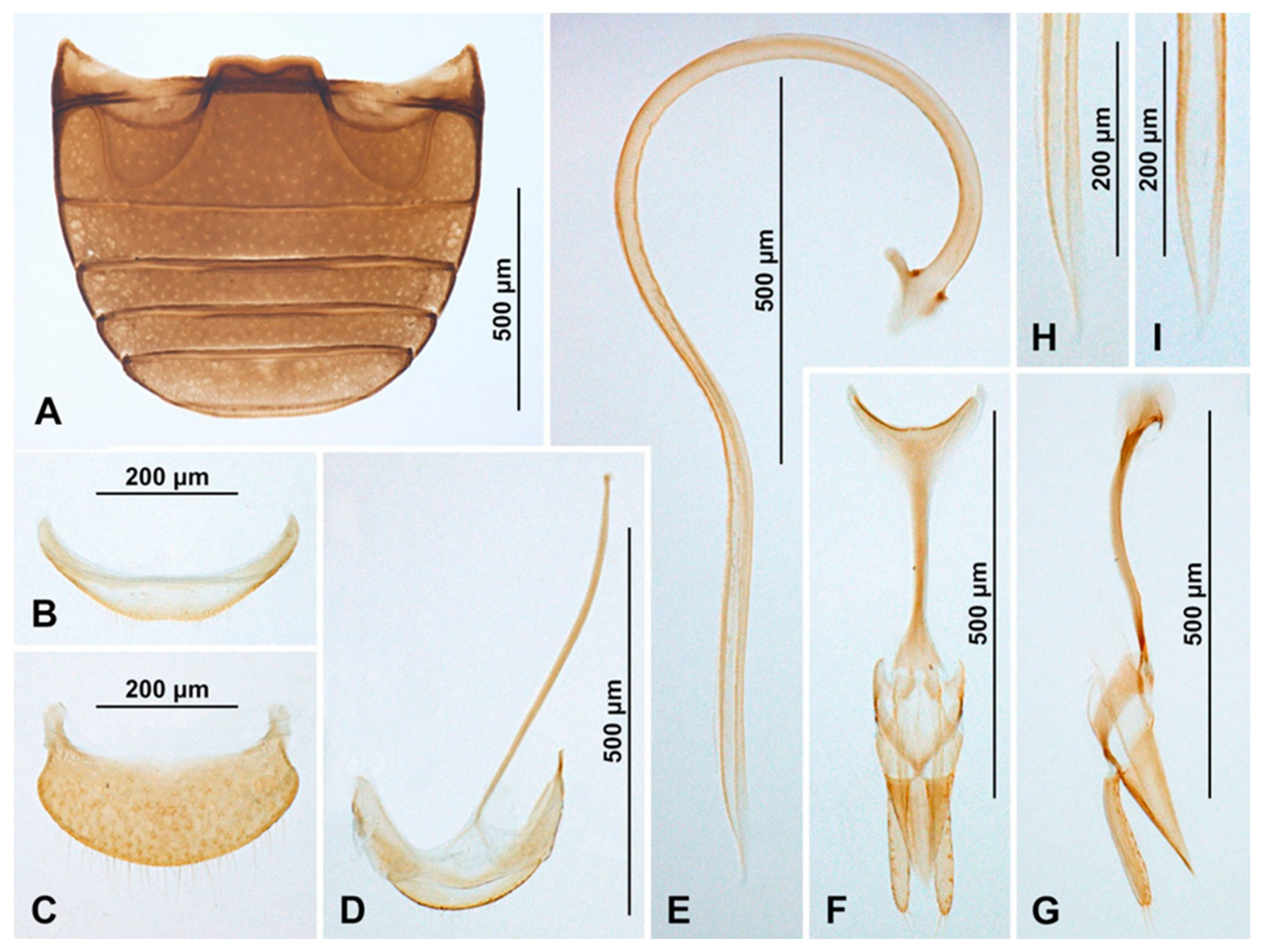 Insects 16 00456 g019