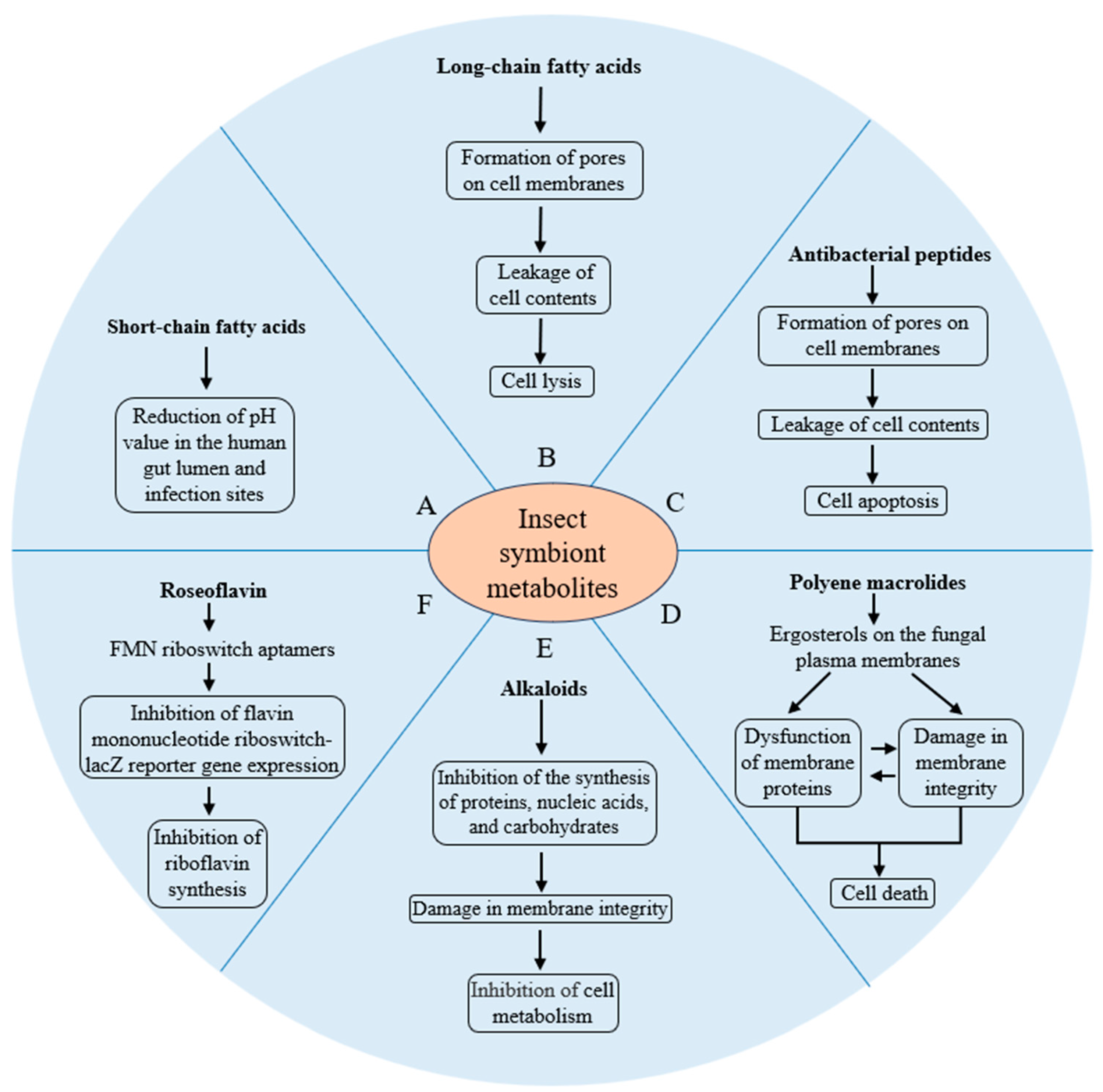 Insects 16 00457 g001