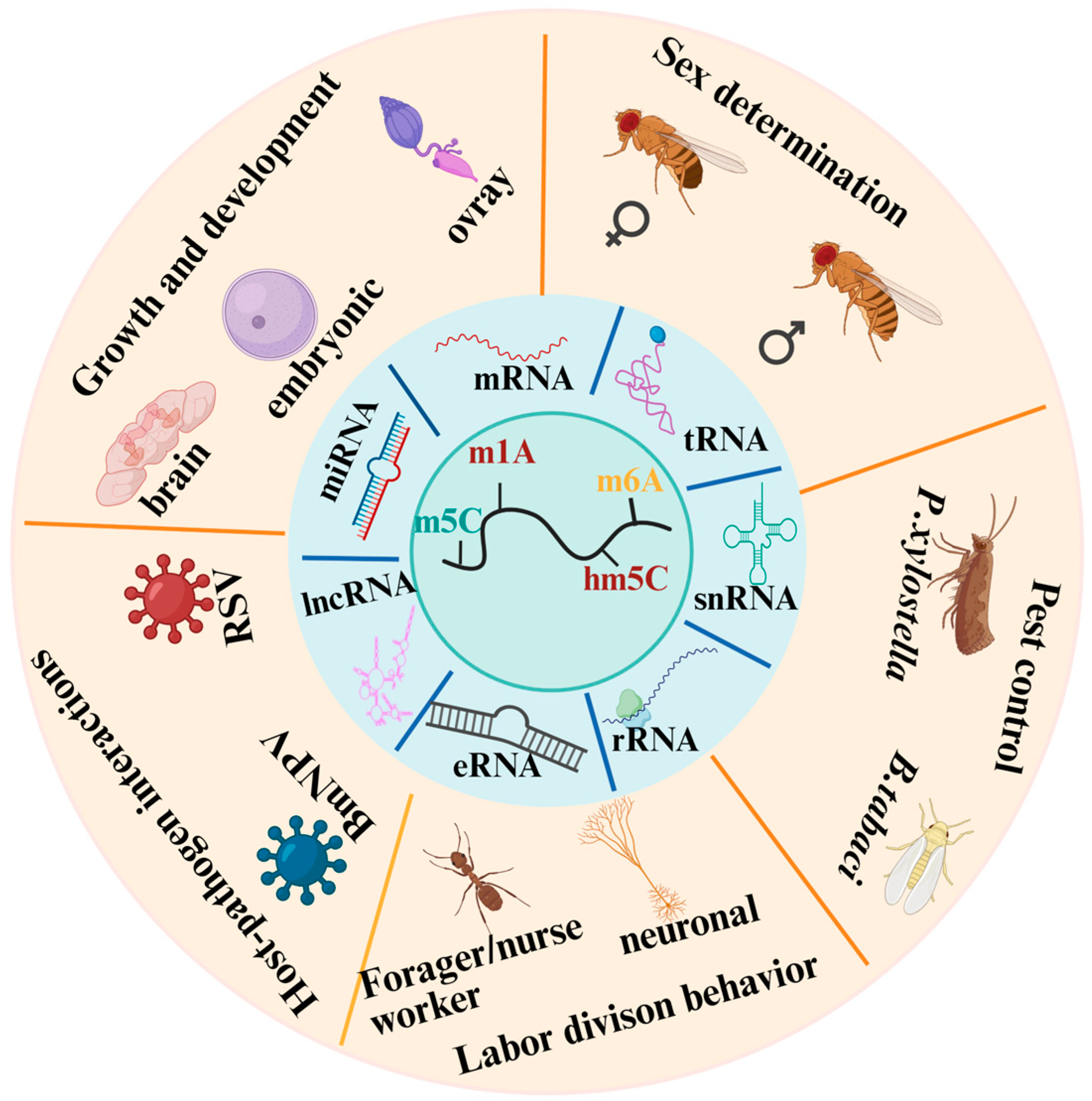 Insects 16 00463 g002