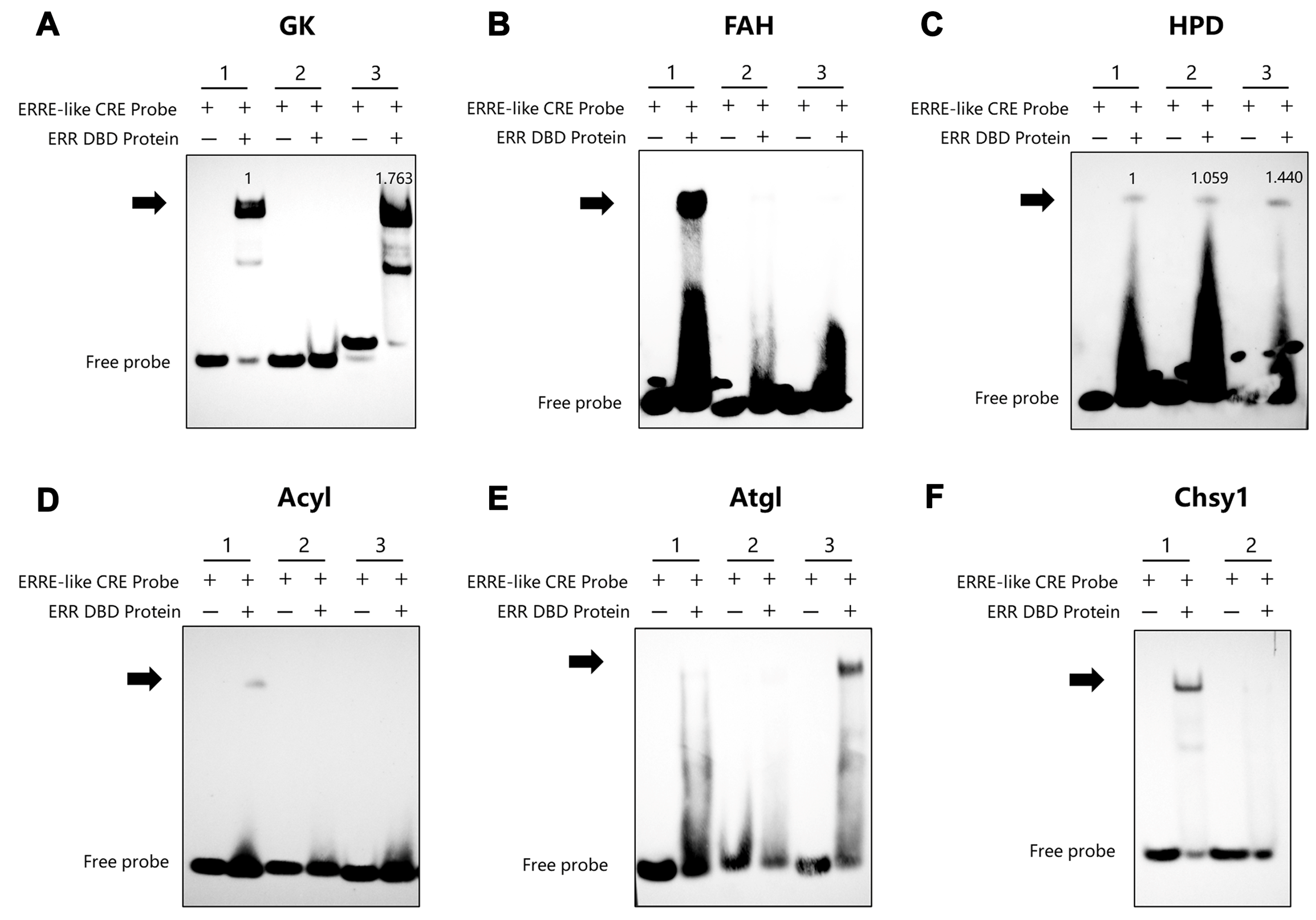 Insects 16 00469 g004 Insects 16 00469 g004