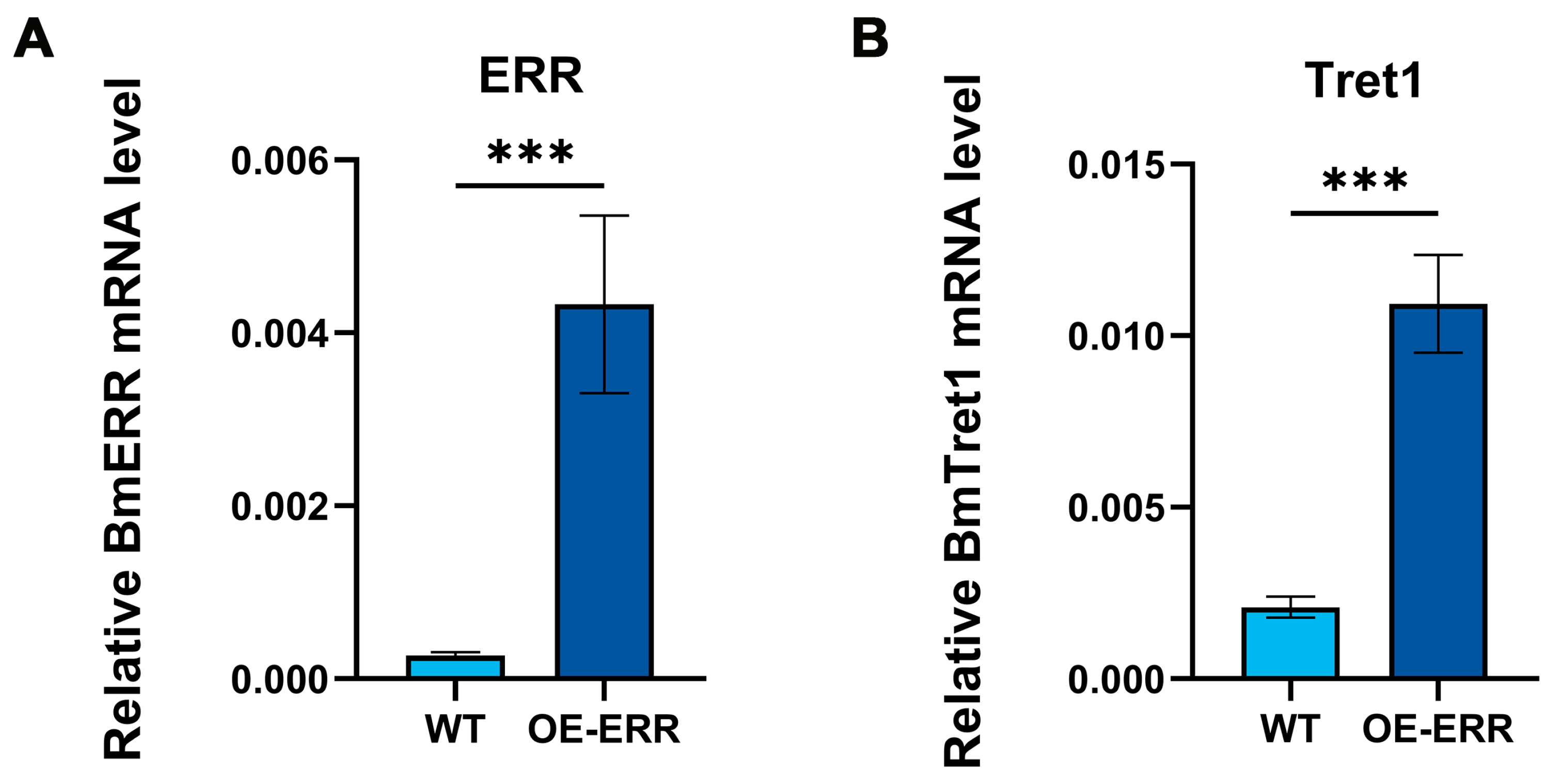 Insects 16 00469 g008 Insects 16 00469 g008