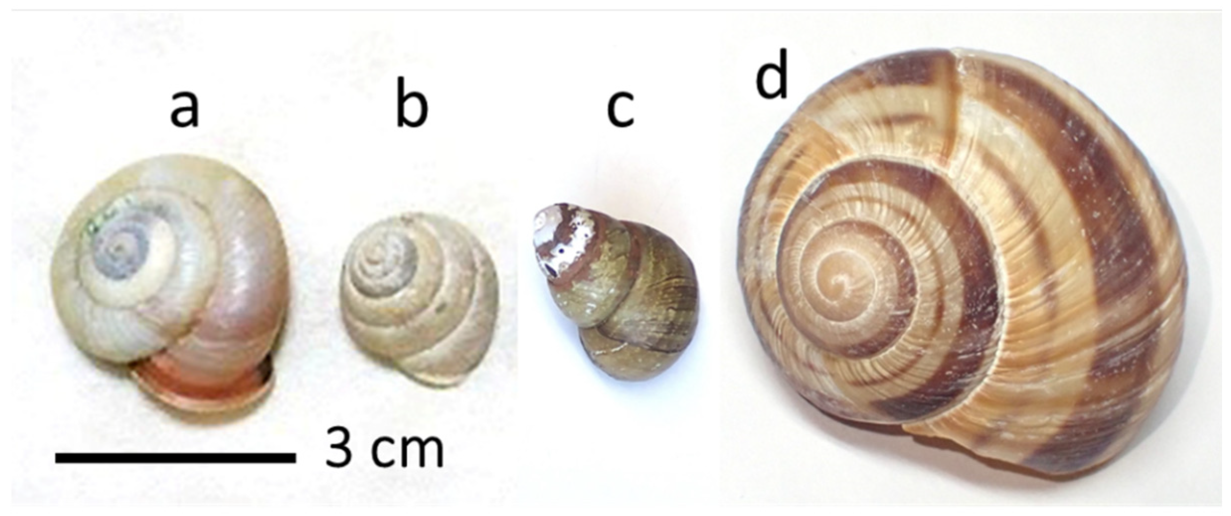 Insects 16 00473 g002