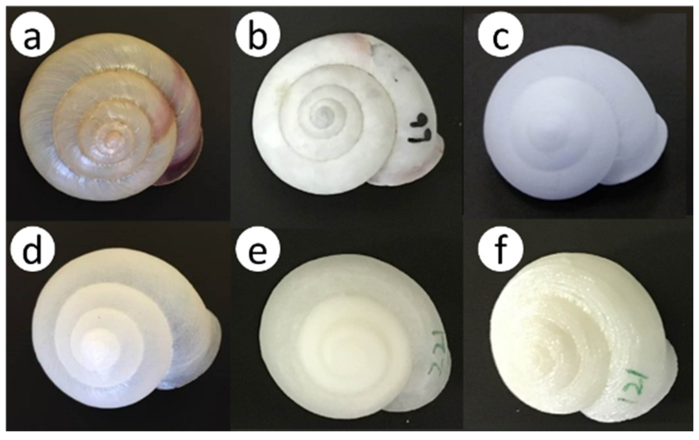 Insects 16 00473 g004