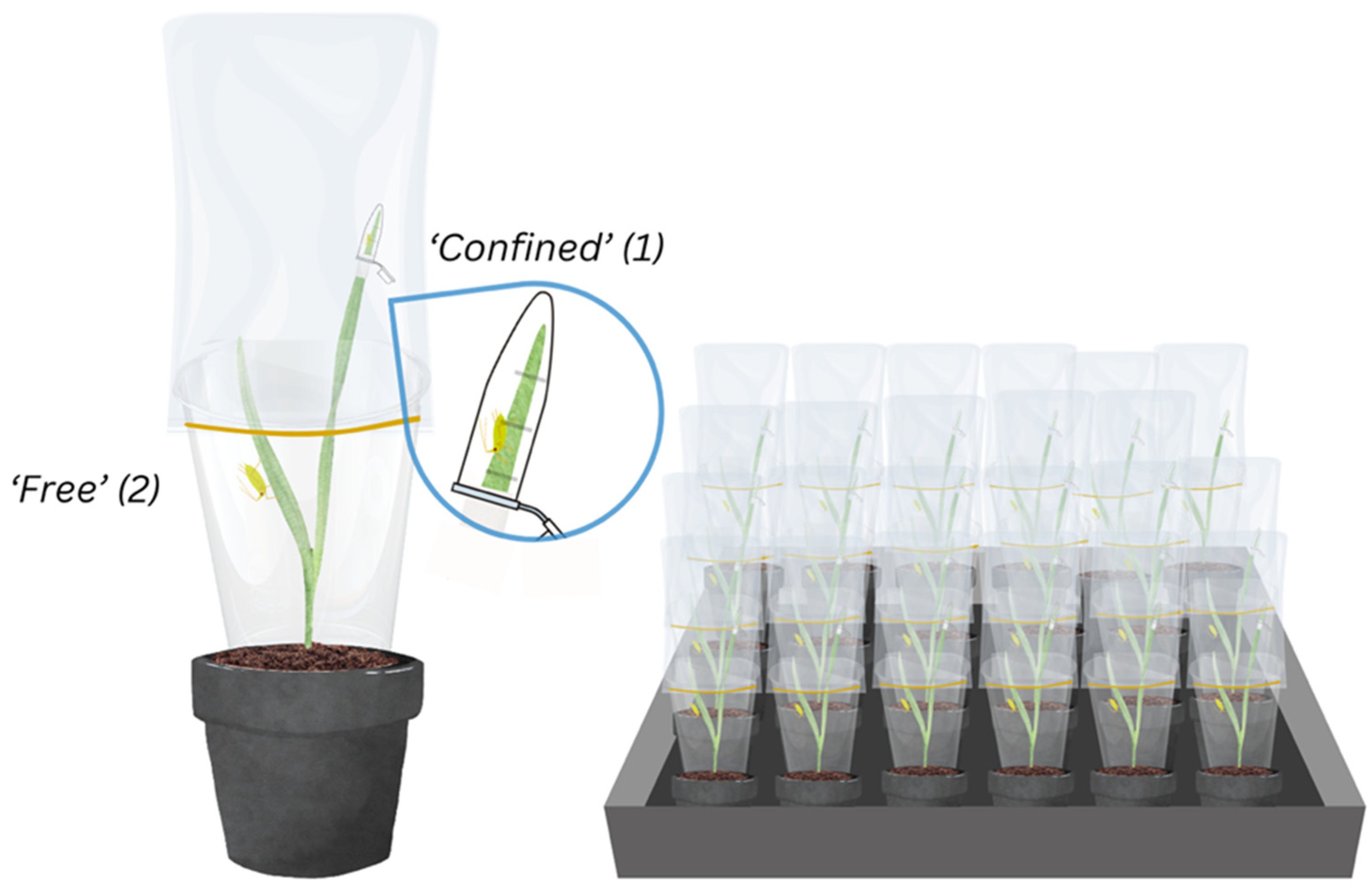 Insects 16 00477 g001