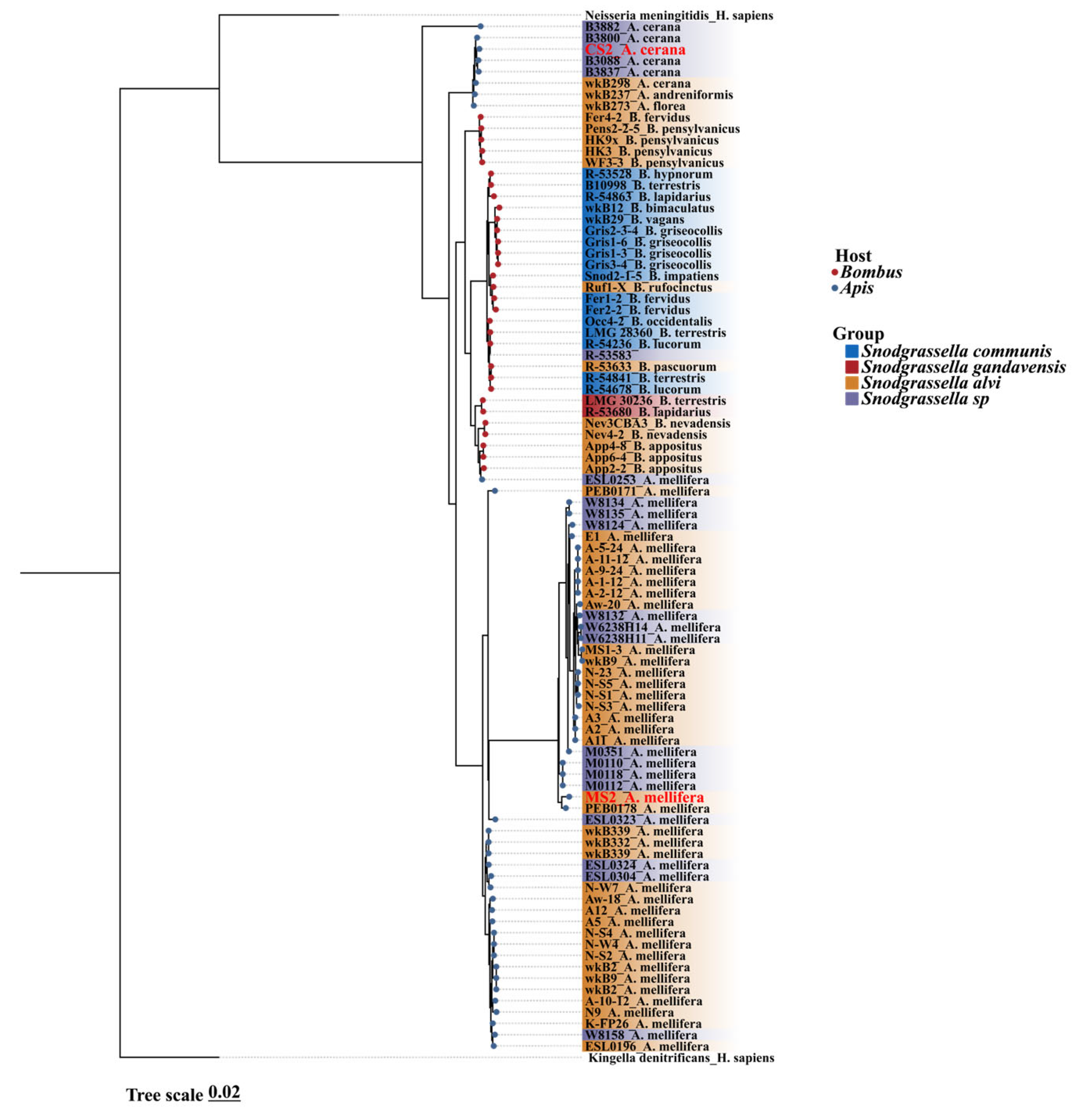 Insects 16 00478 g001