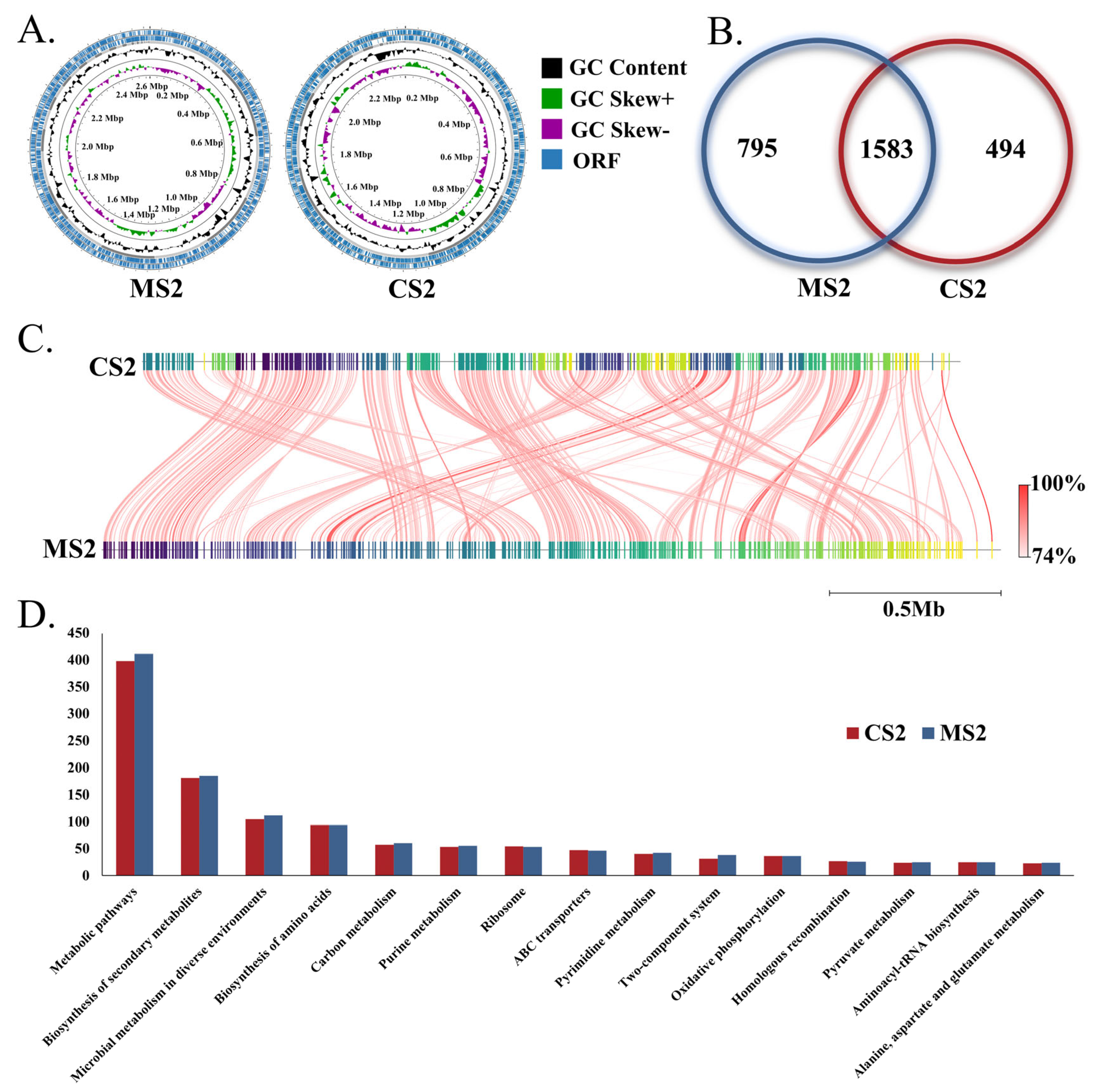 Insects 16 00478 g002
