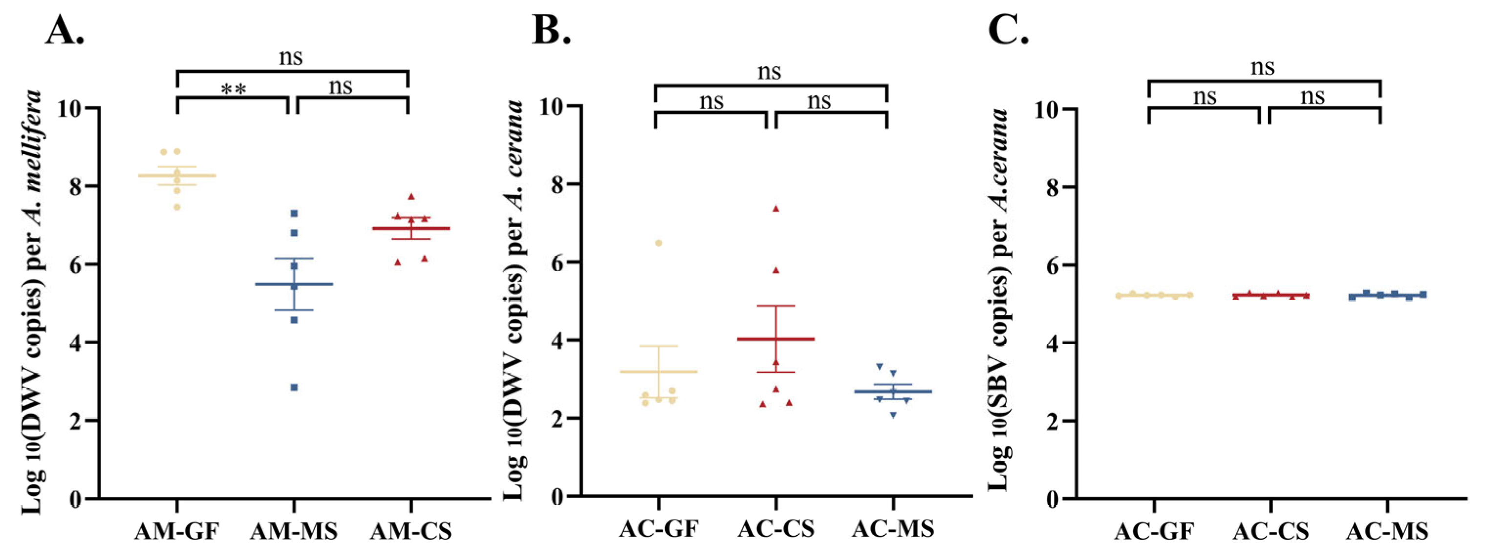 Insects 16 00478 g004