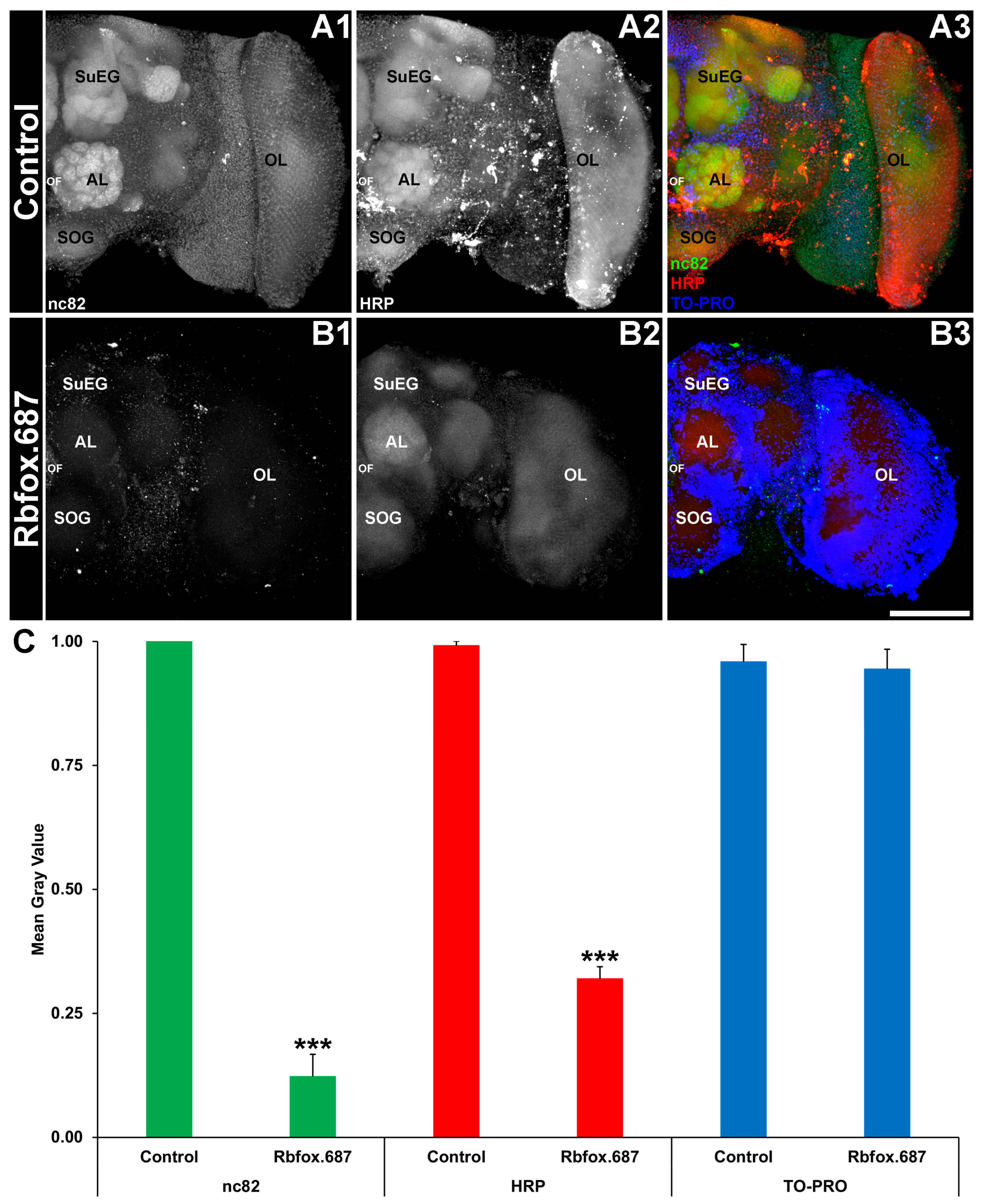 Insects 16 00481 g002