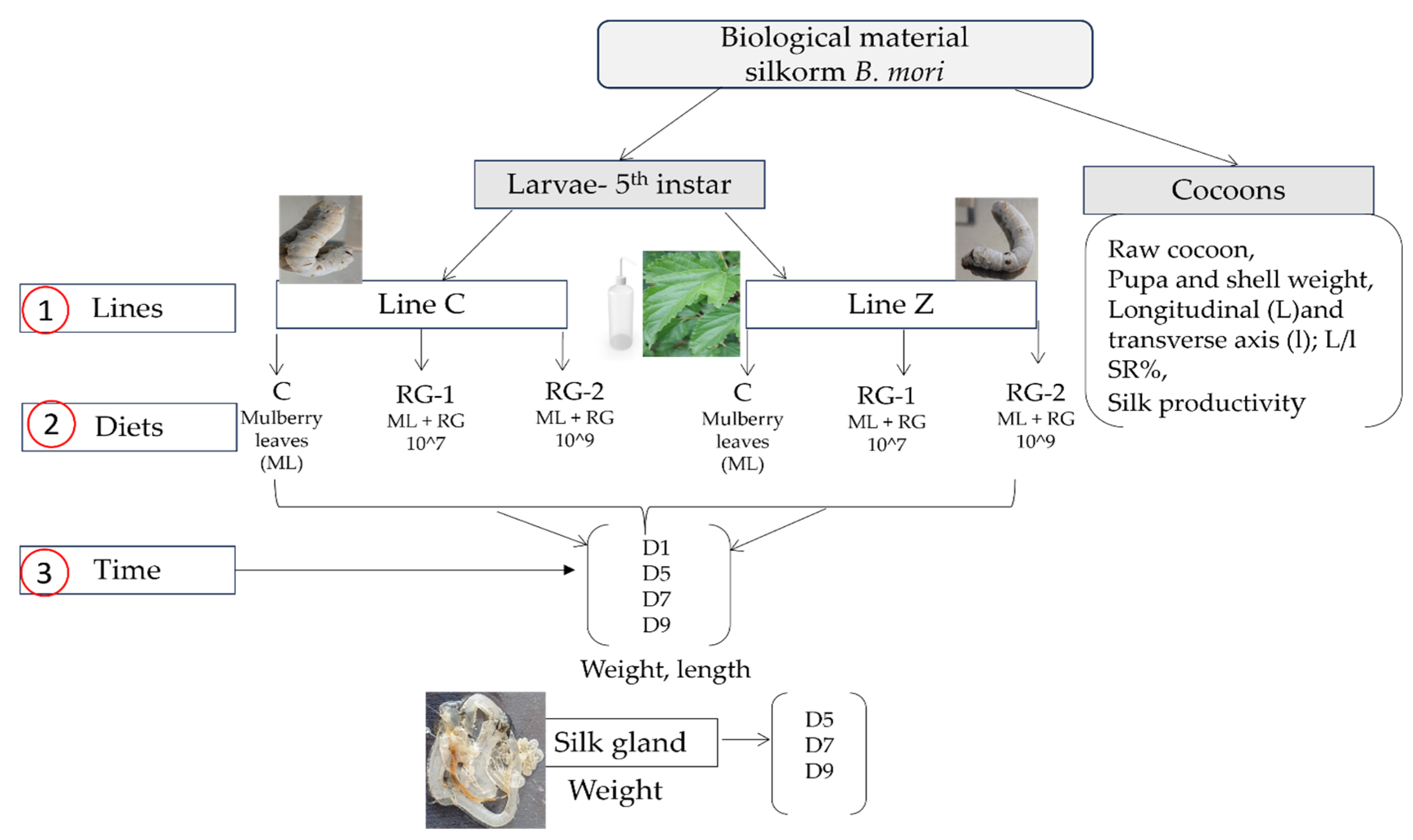 Insects 16 00482 g001