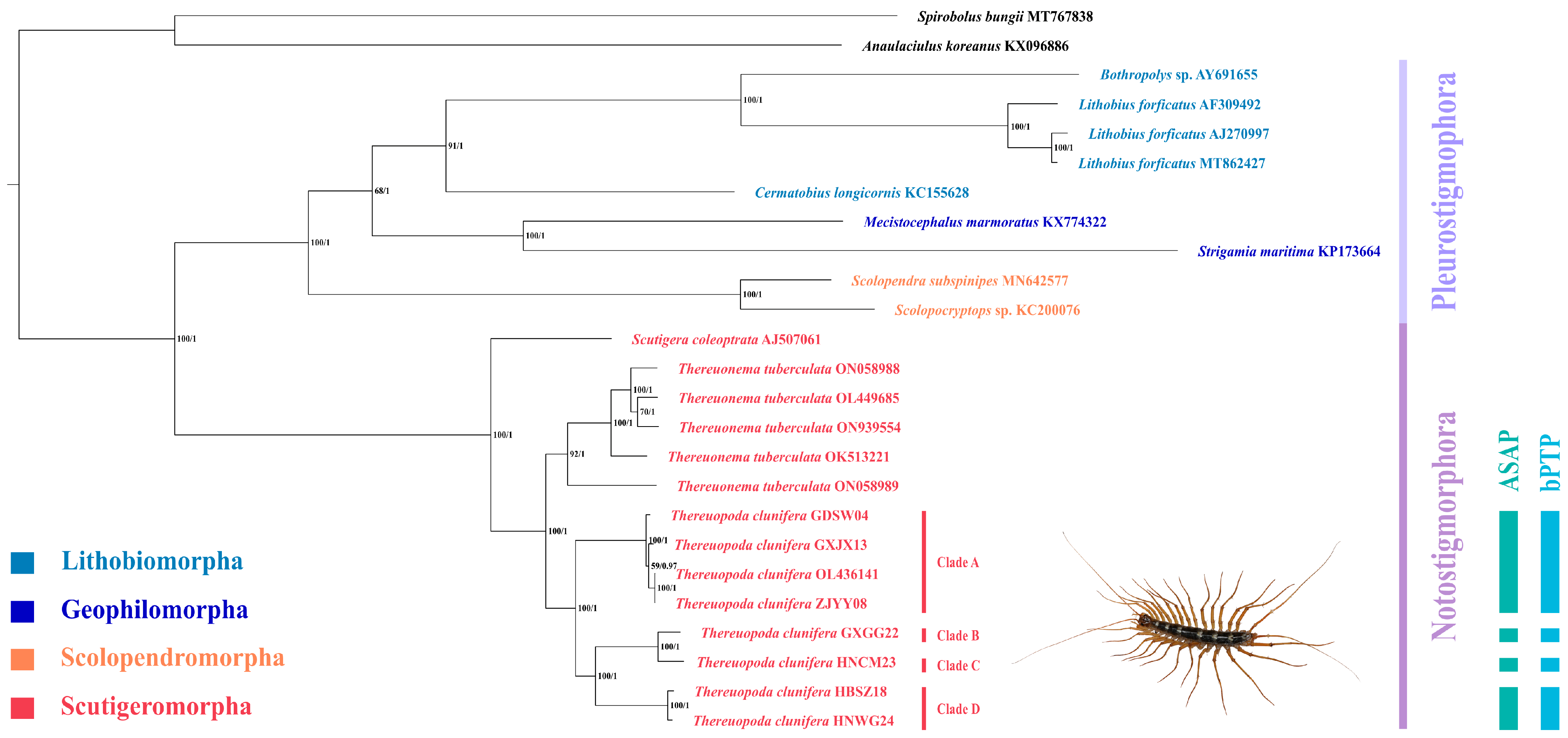 Insects 16 00486 g003