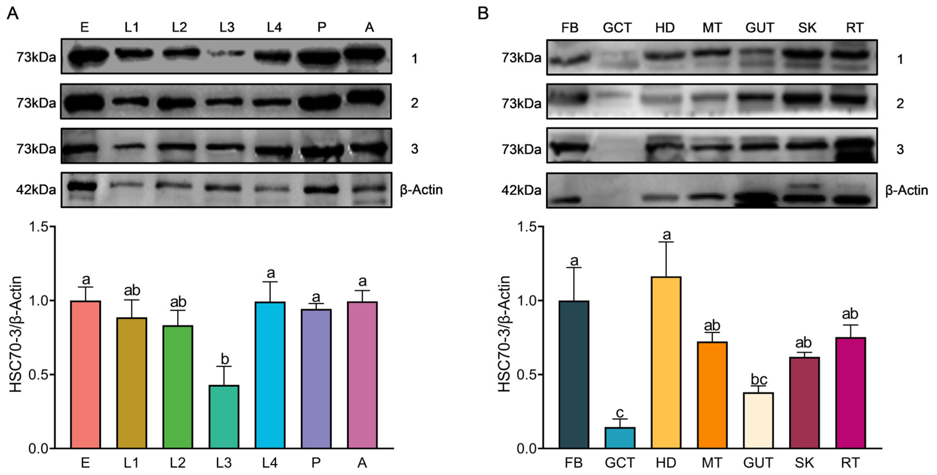 Insects 16 00489 g003