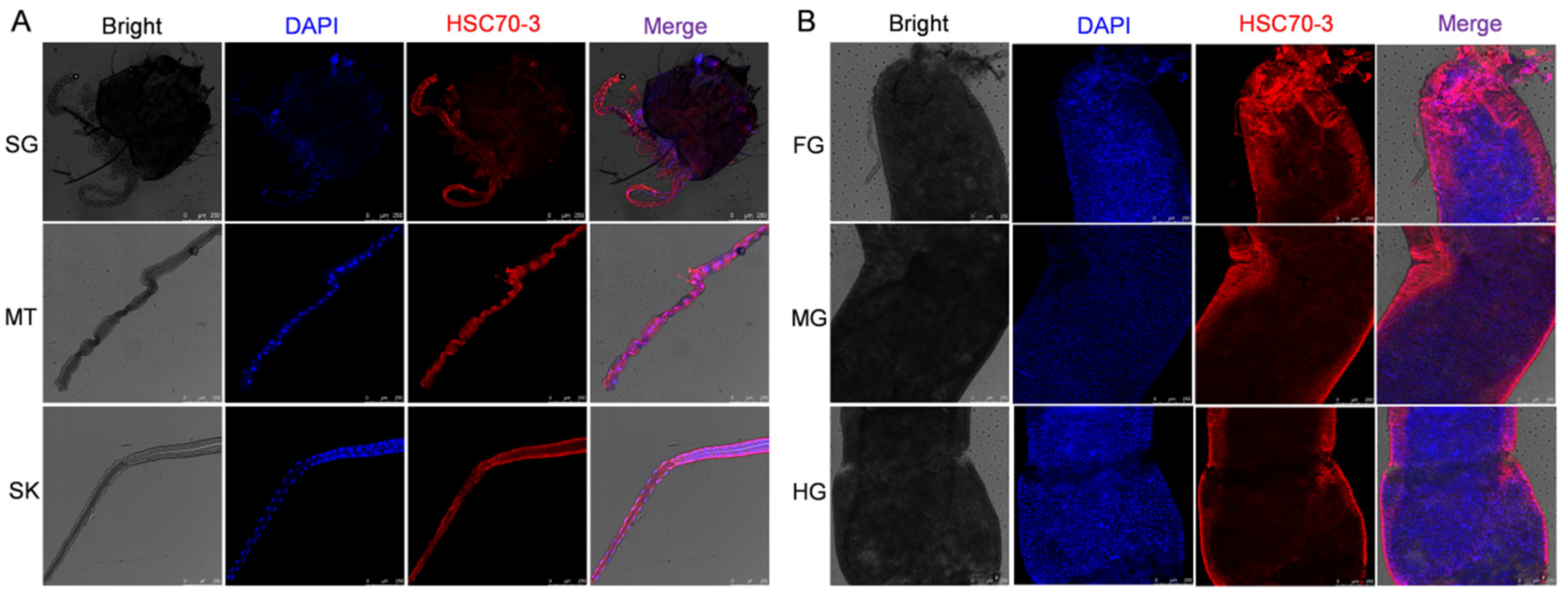 Insects 16 00489 g004