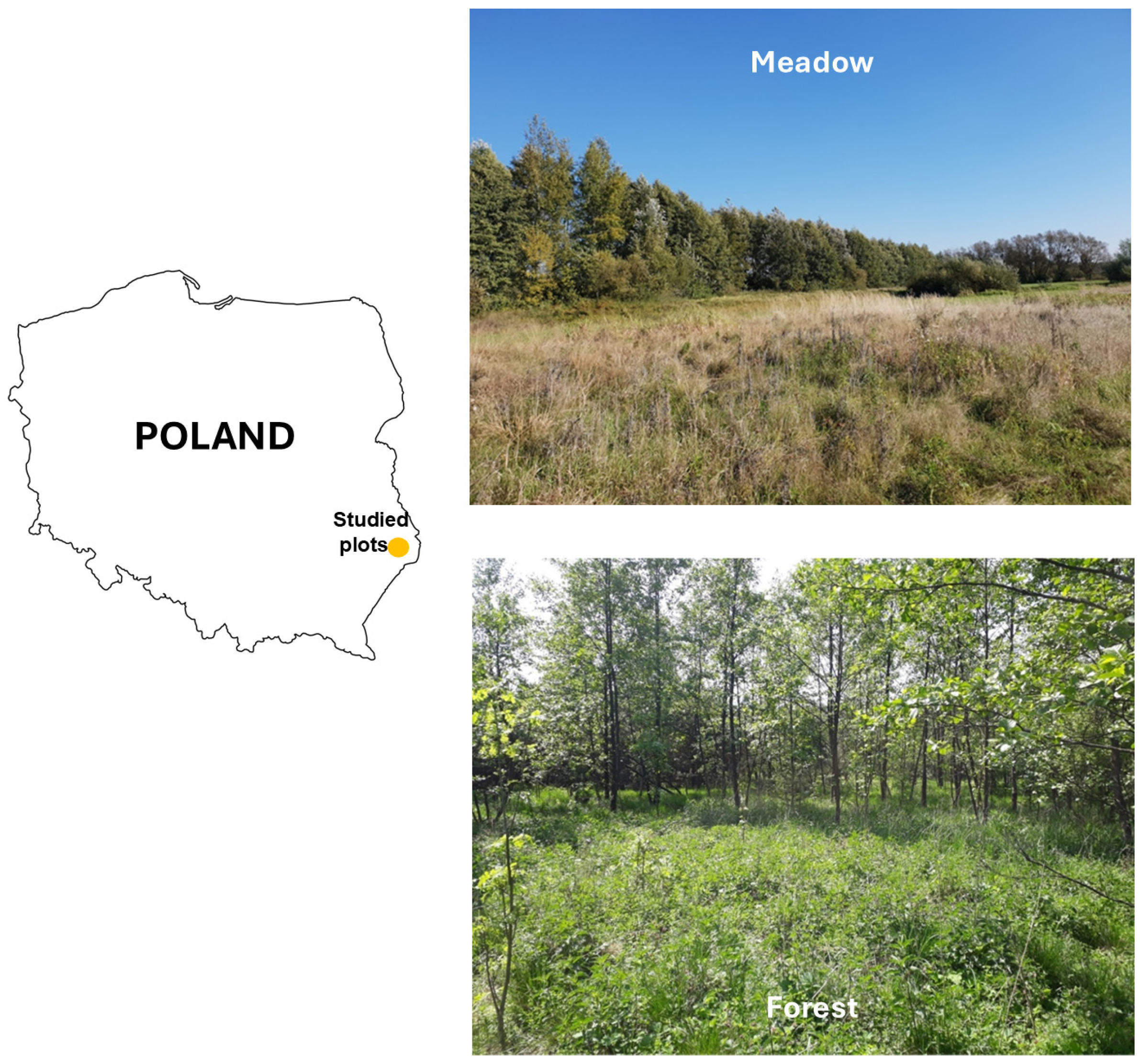 Insects 16 00490 g001 Insects 16 00490 g001