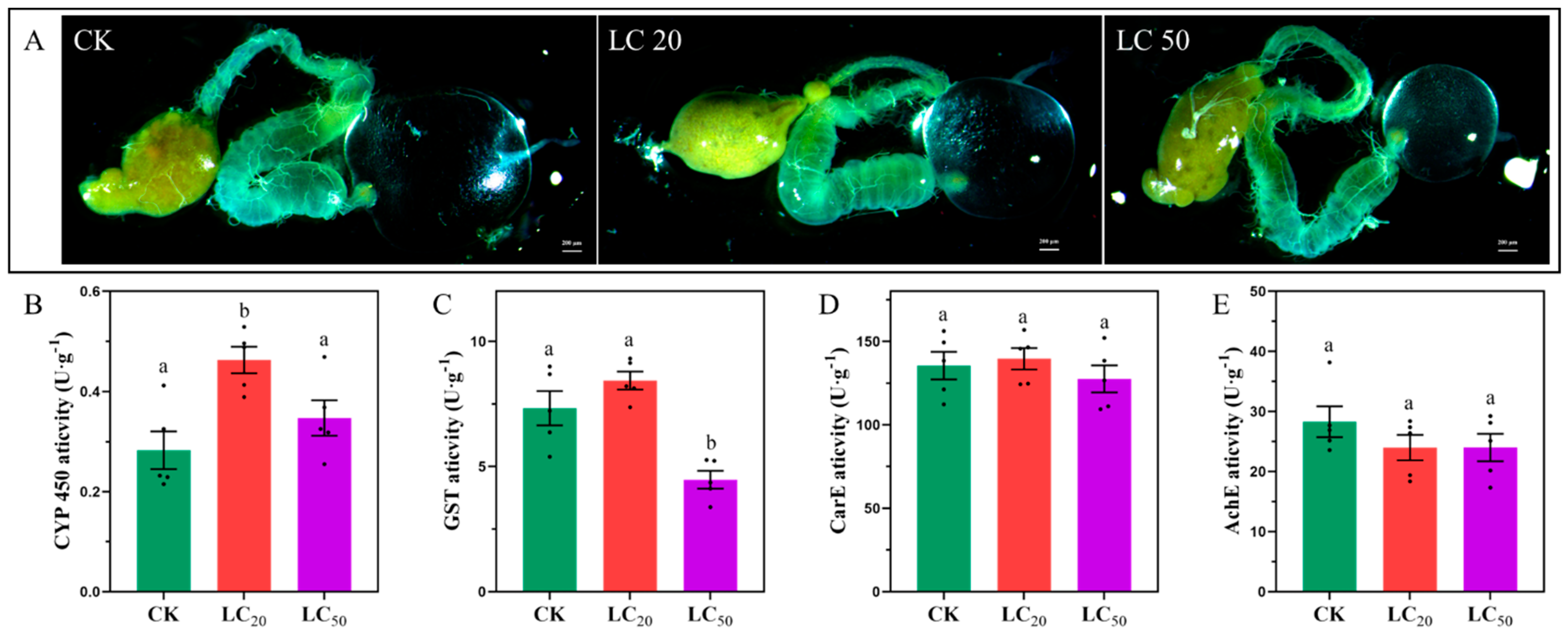 Insects 16 00492 g010