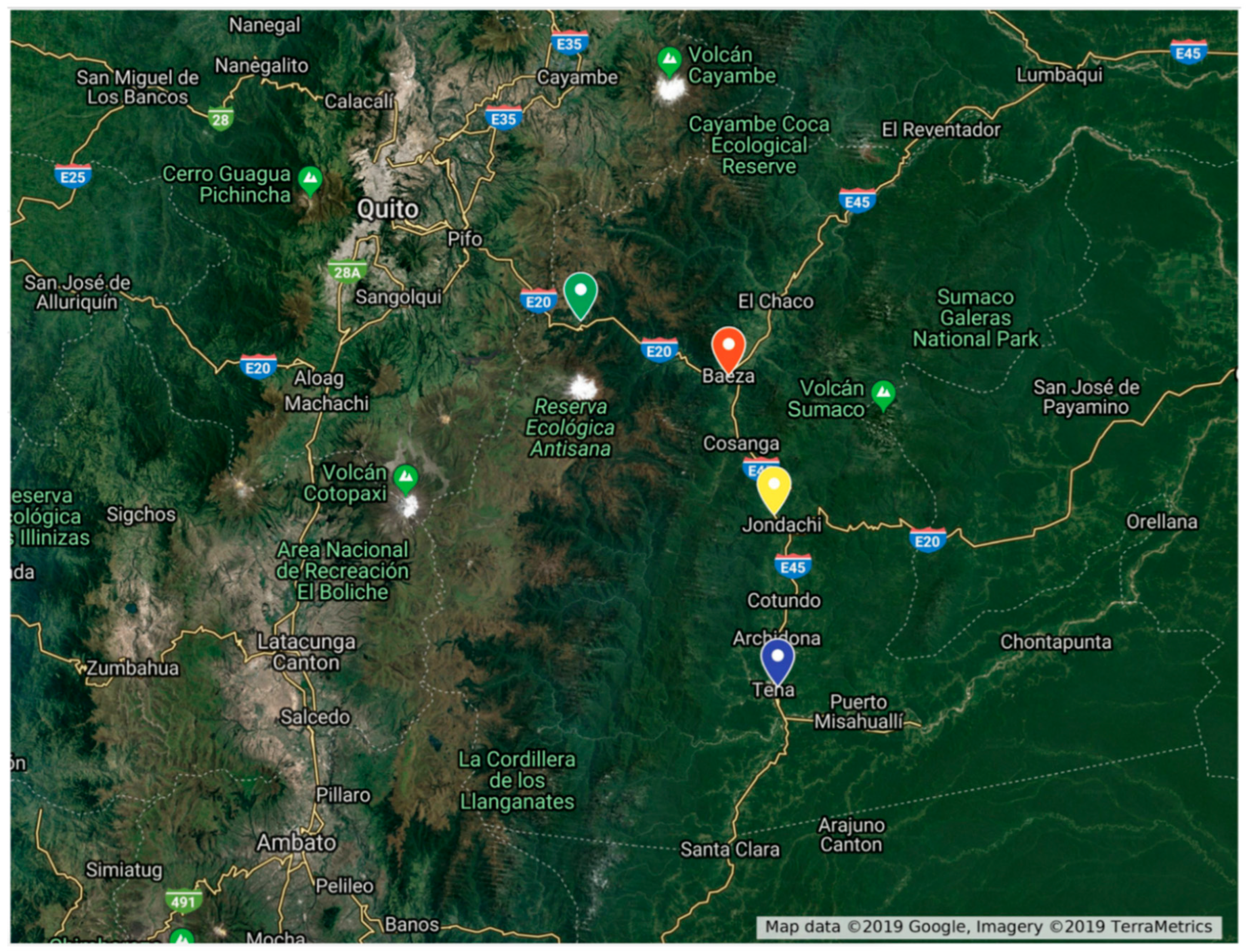 Insects 16 00498 g002 Insects 16 00498 g002