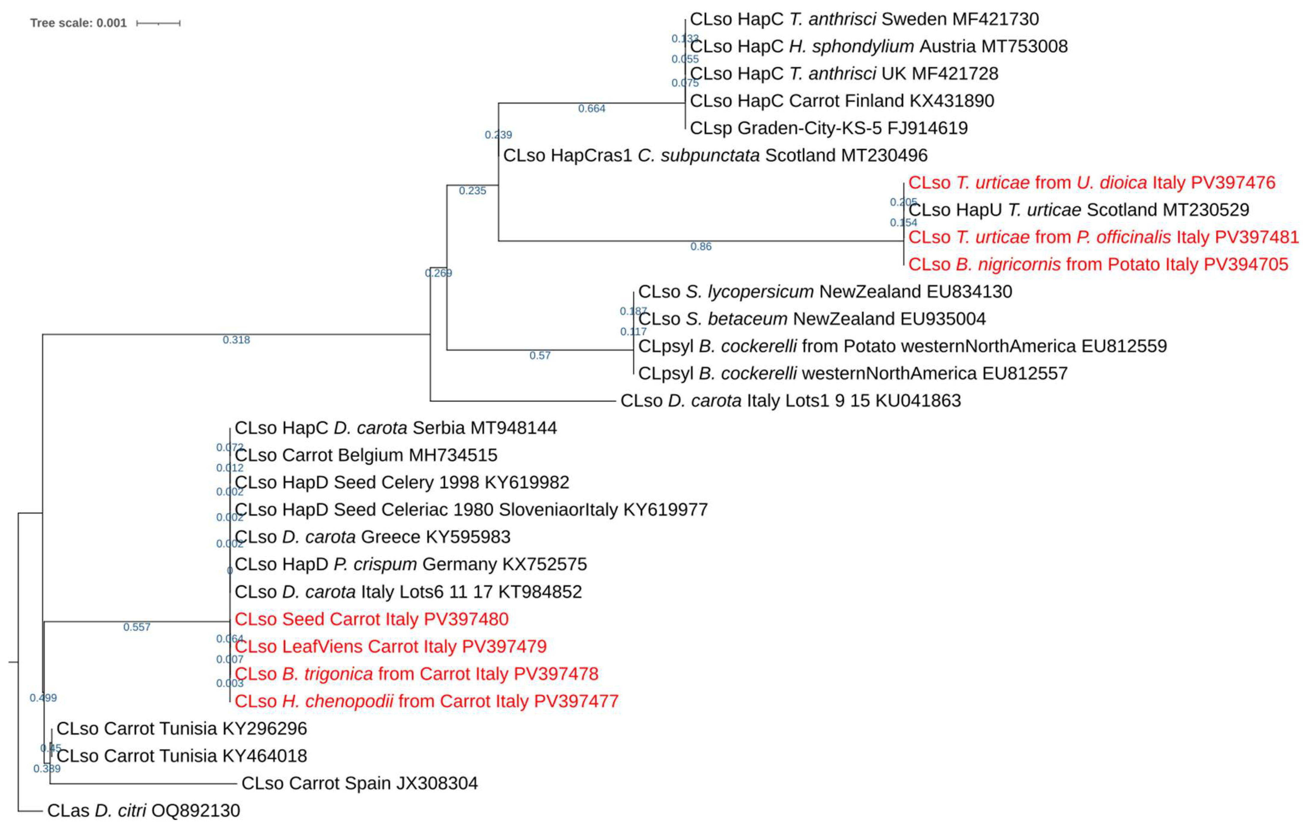 Insects 16 00499 g003