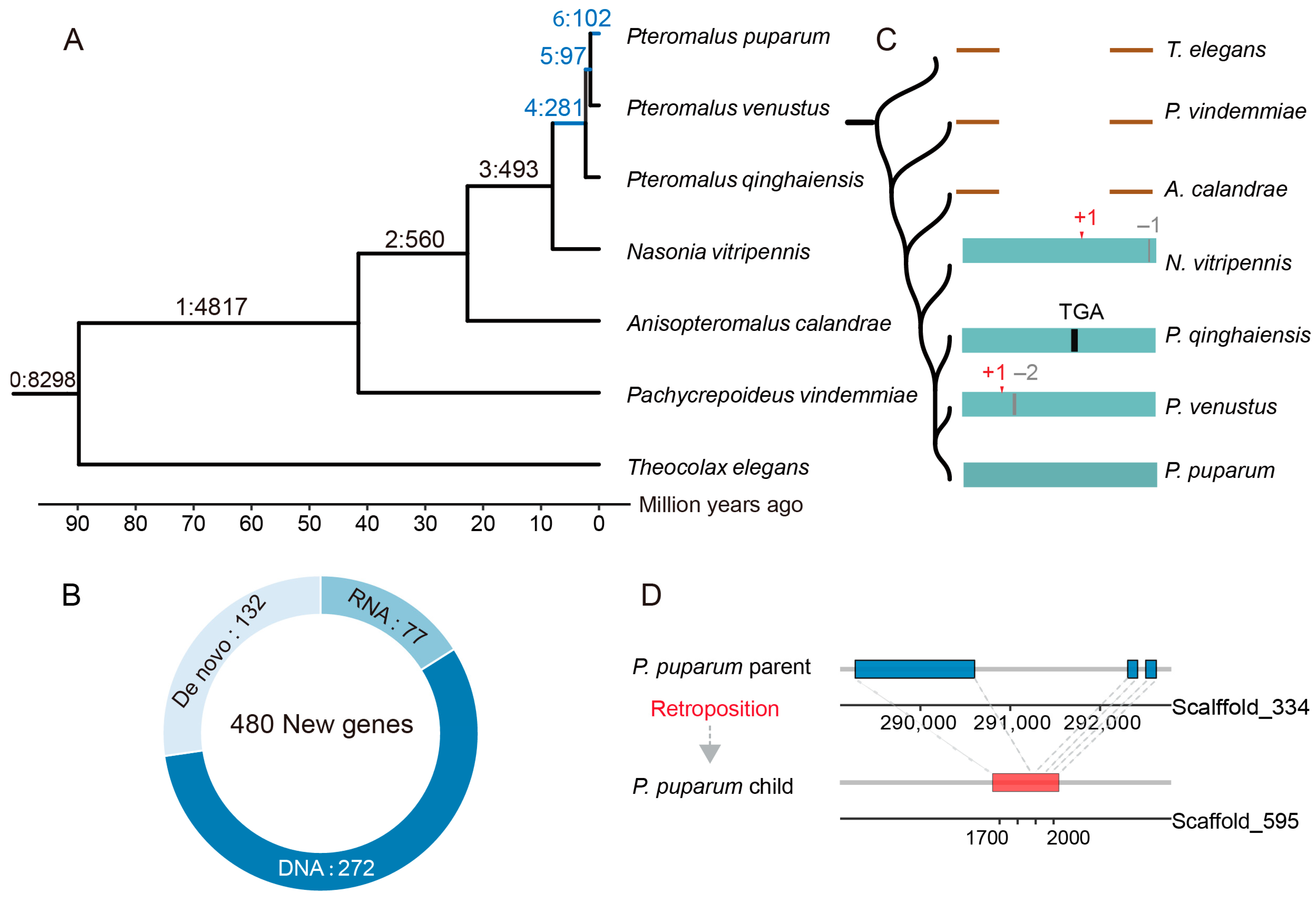 Insects 16 00502 g001